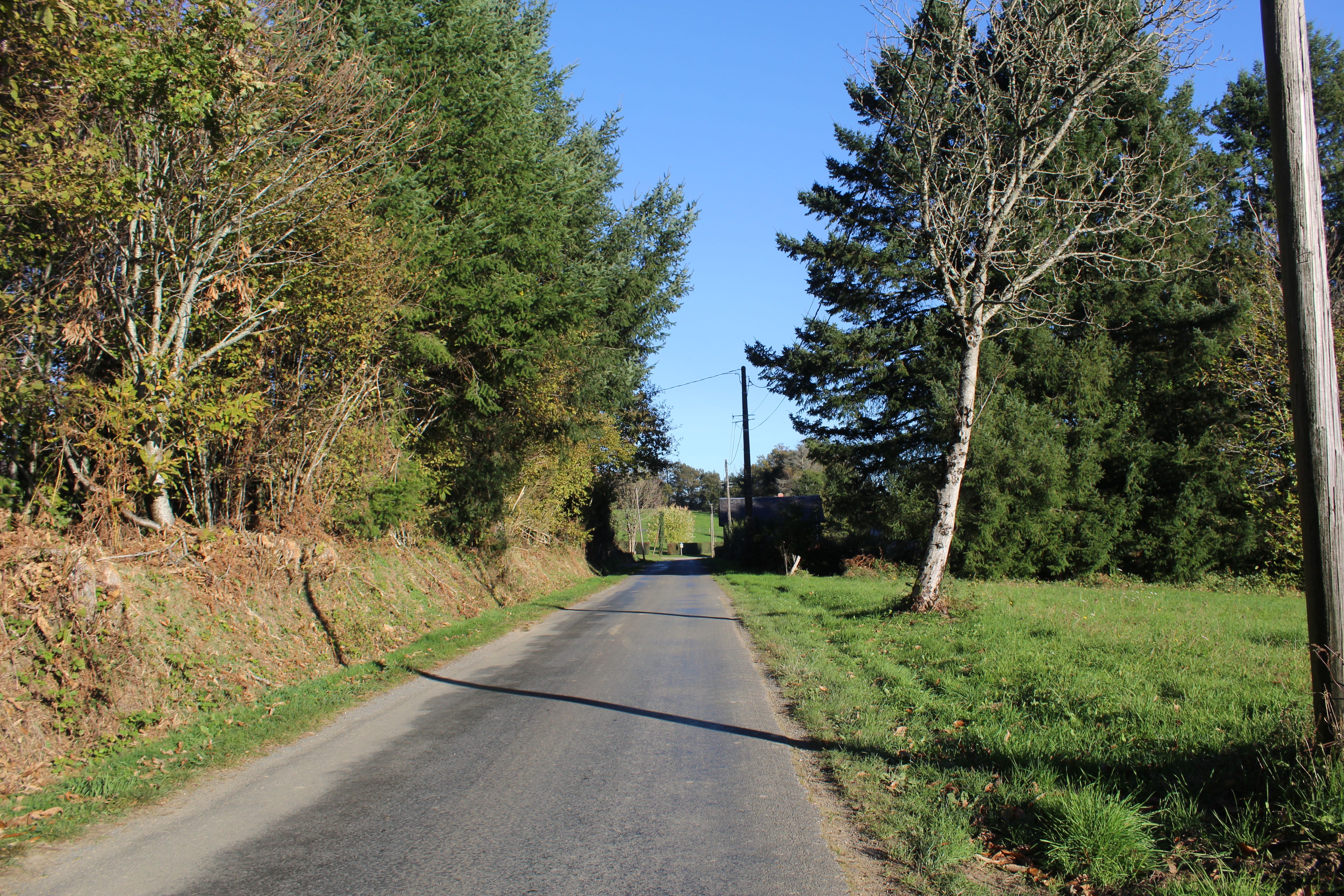 Le Tilleul de Sully, Montgibaud - photo 5