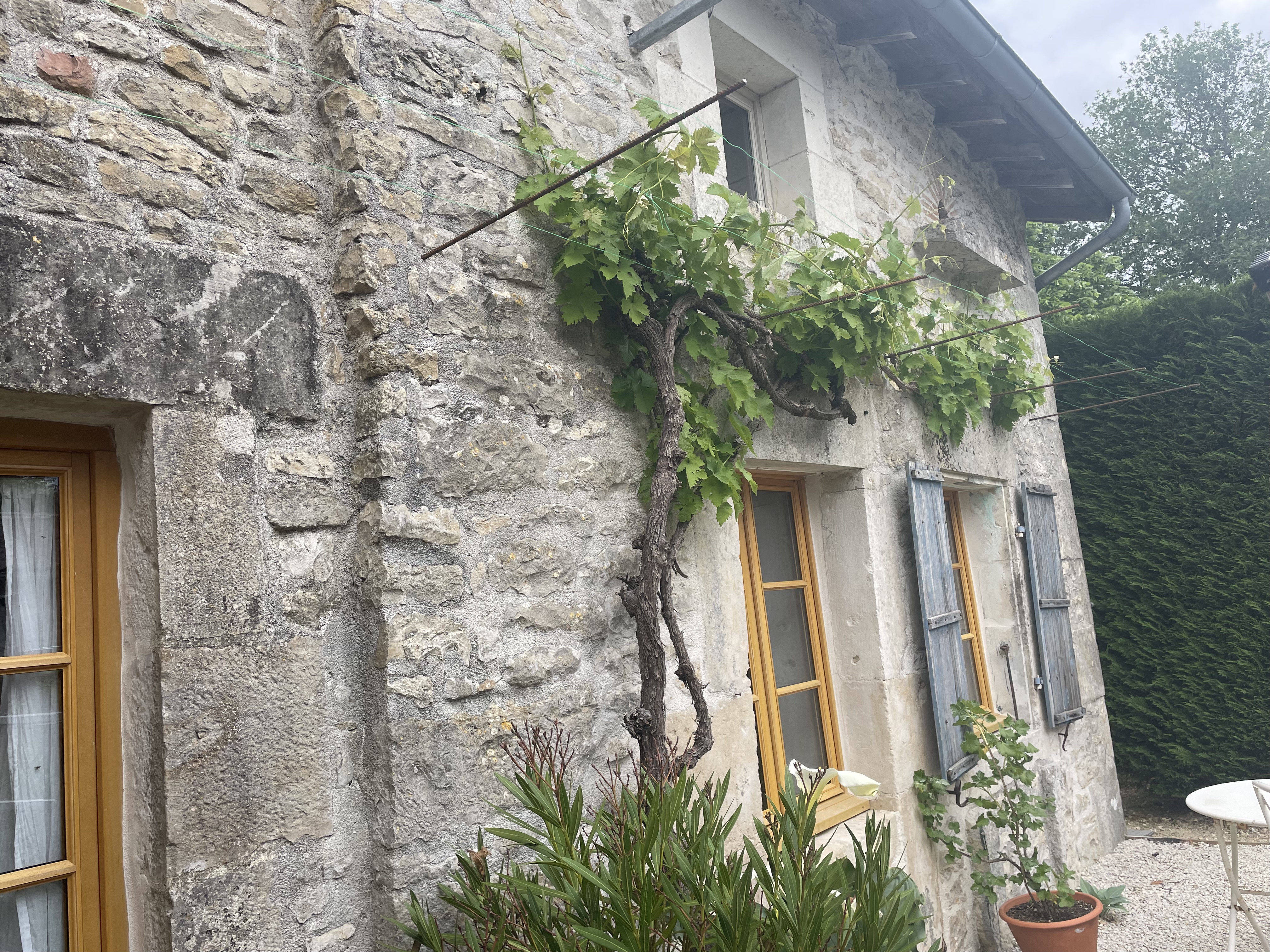 Le Rêve de Breuillac, Surin - photo 9
