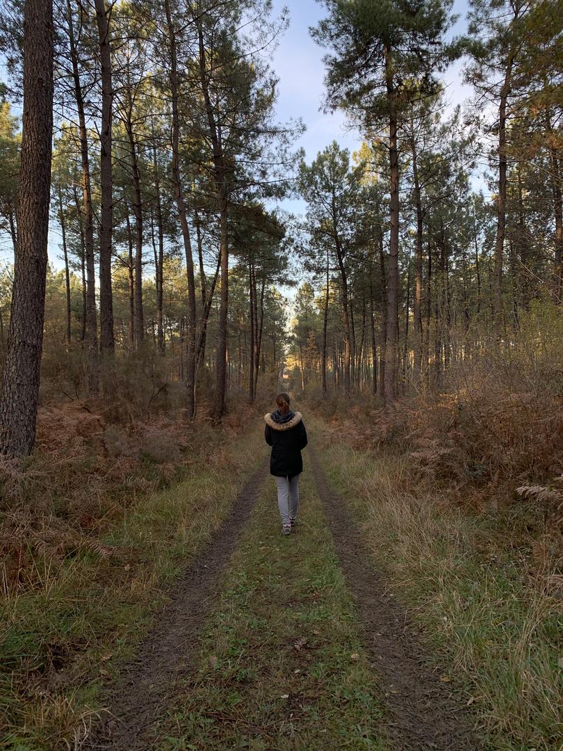 Boucle de la Forêt à Beaupouyet - photo 3