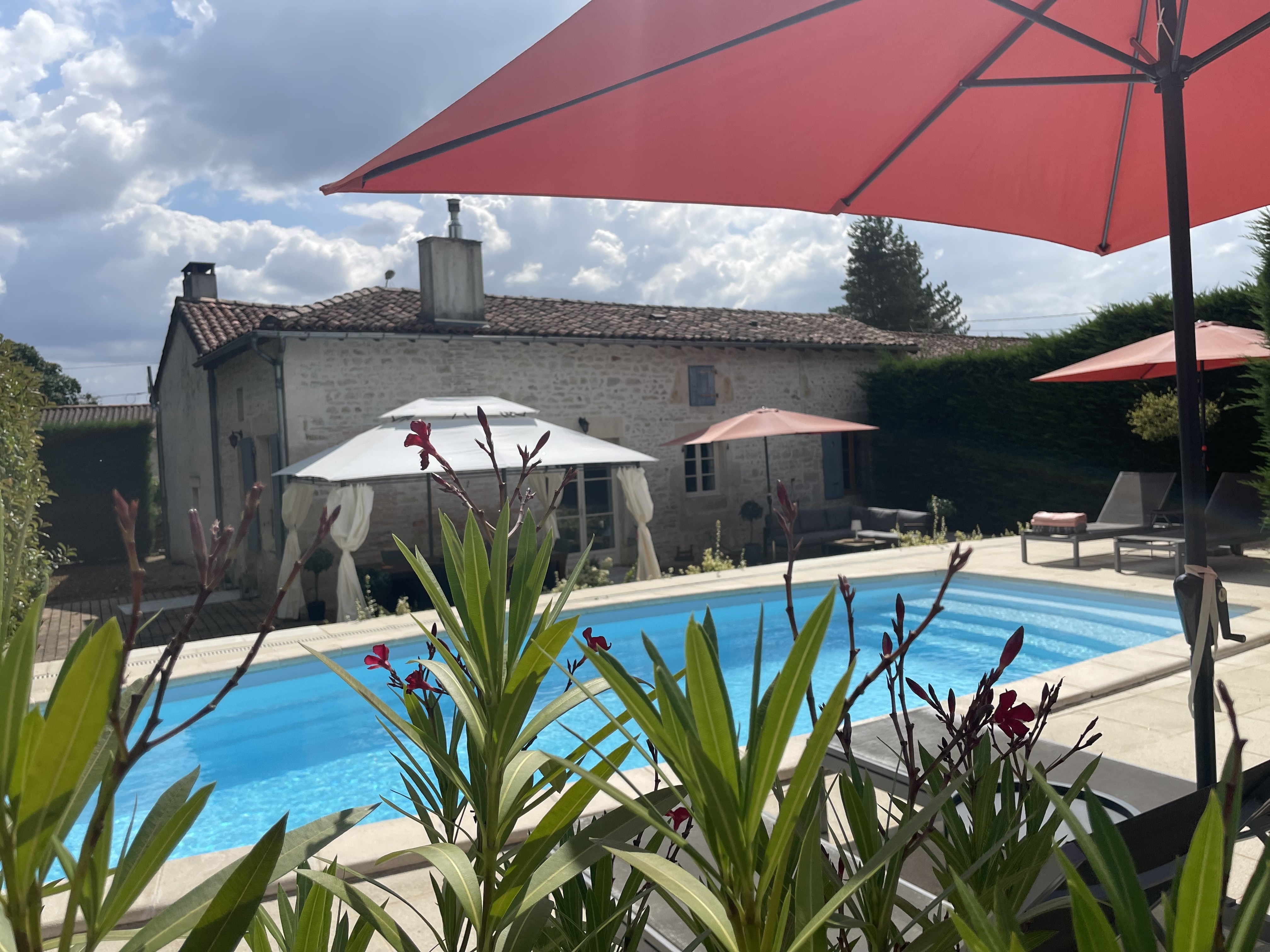 Le Rêve de Breuillac, Surin - photo 11