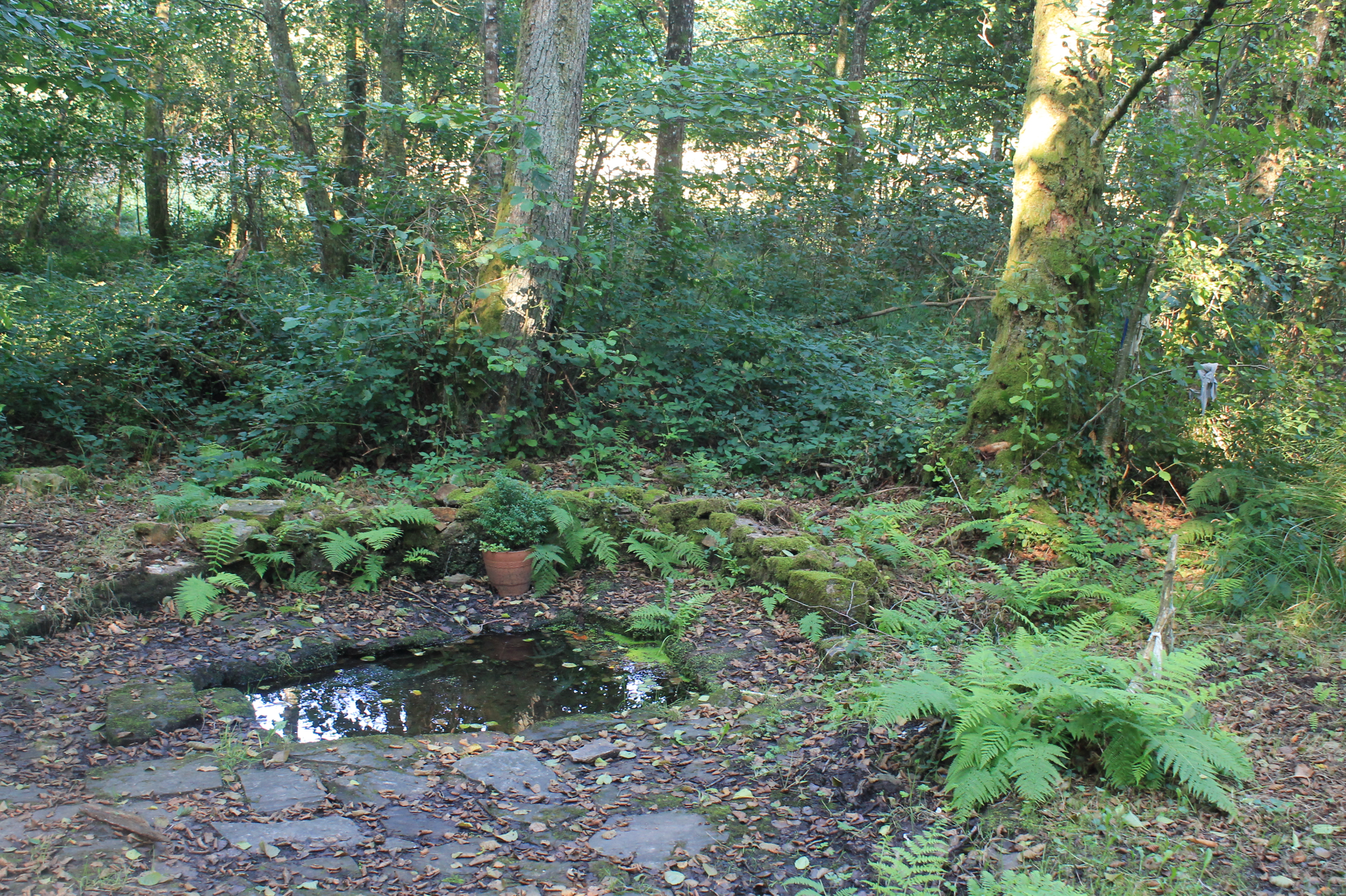 Bonnes Fontaines Saint Jean, Cussac - photo 3