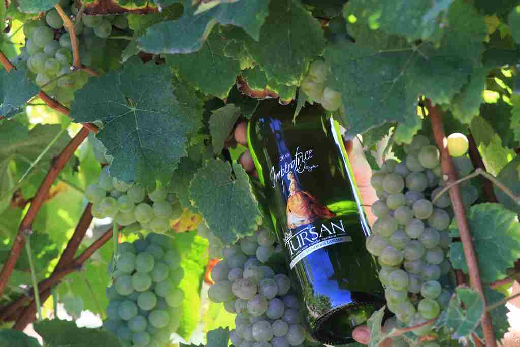 Cave "Deux fois Vin"