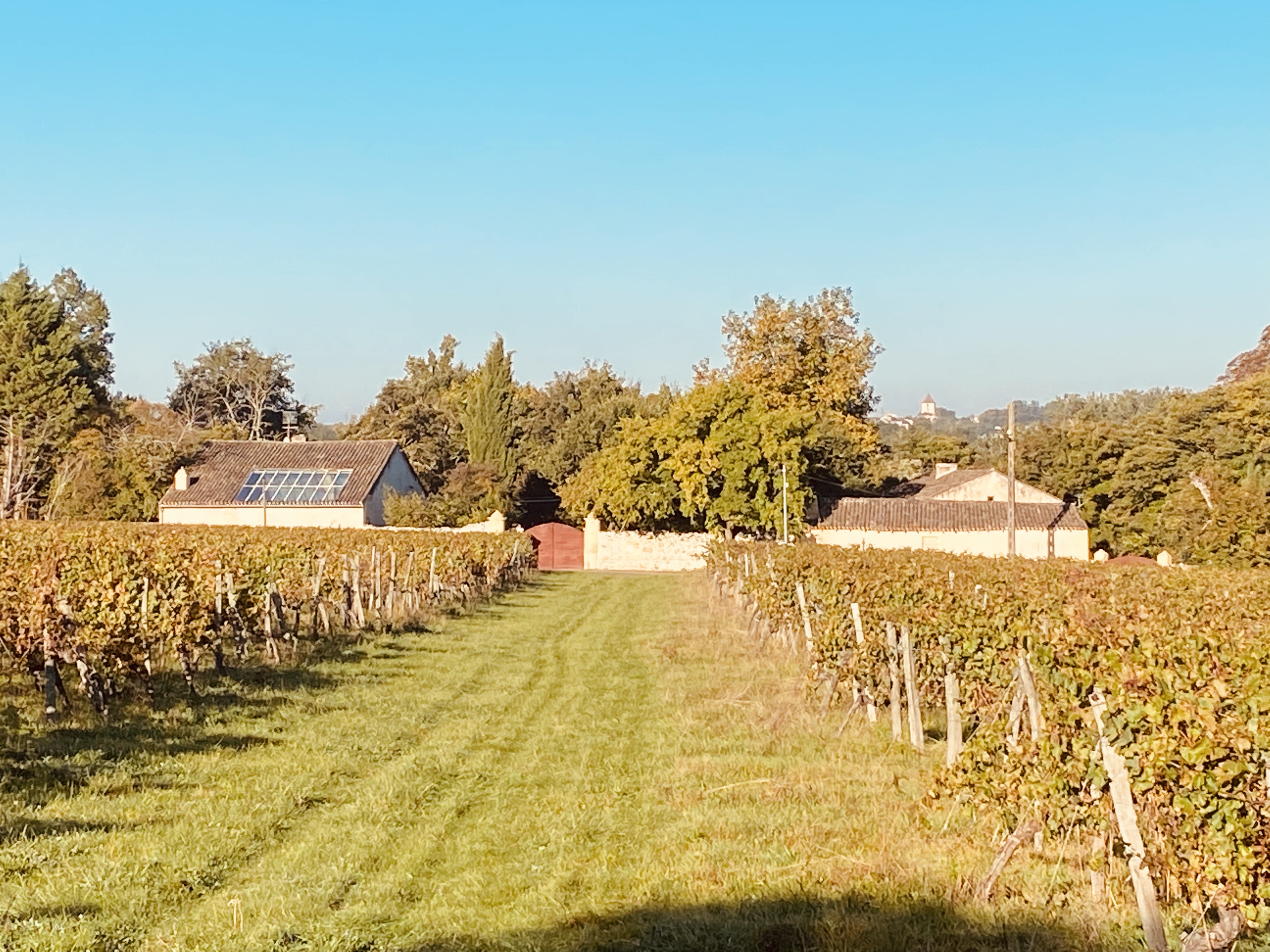 Clos Labellie, Lugaignac - photo 2