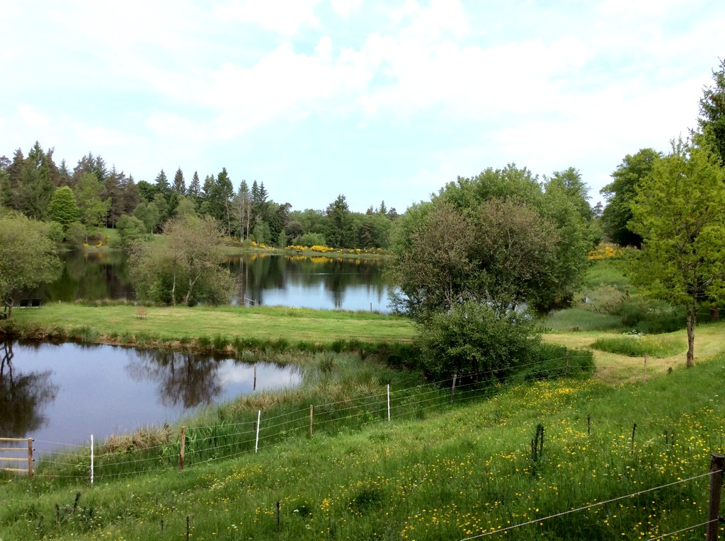 Gîte La Loutre - photo 2