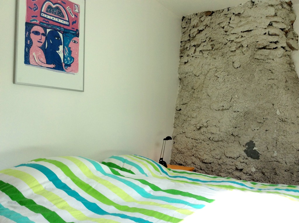 Le Feydel Bas, Palisse - photo 6