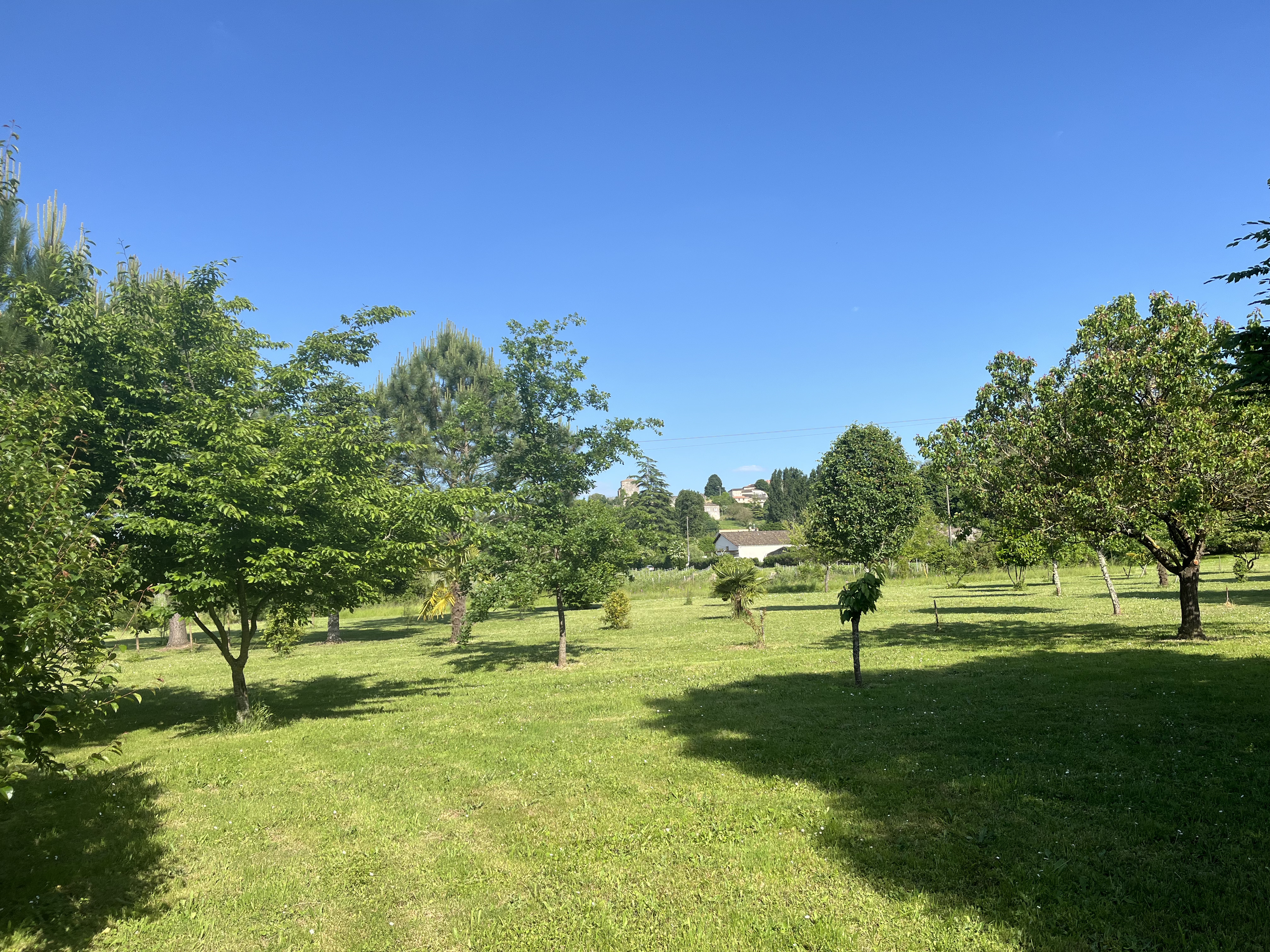 Parc Alcide Dihars, Pujols - photo 3