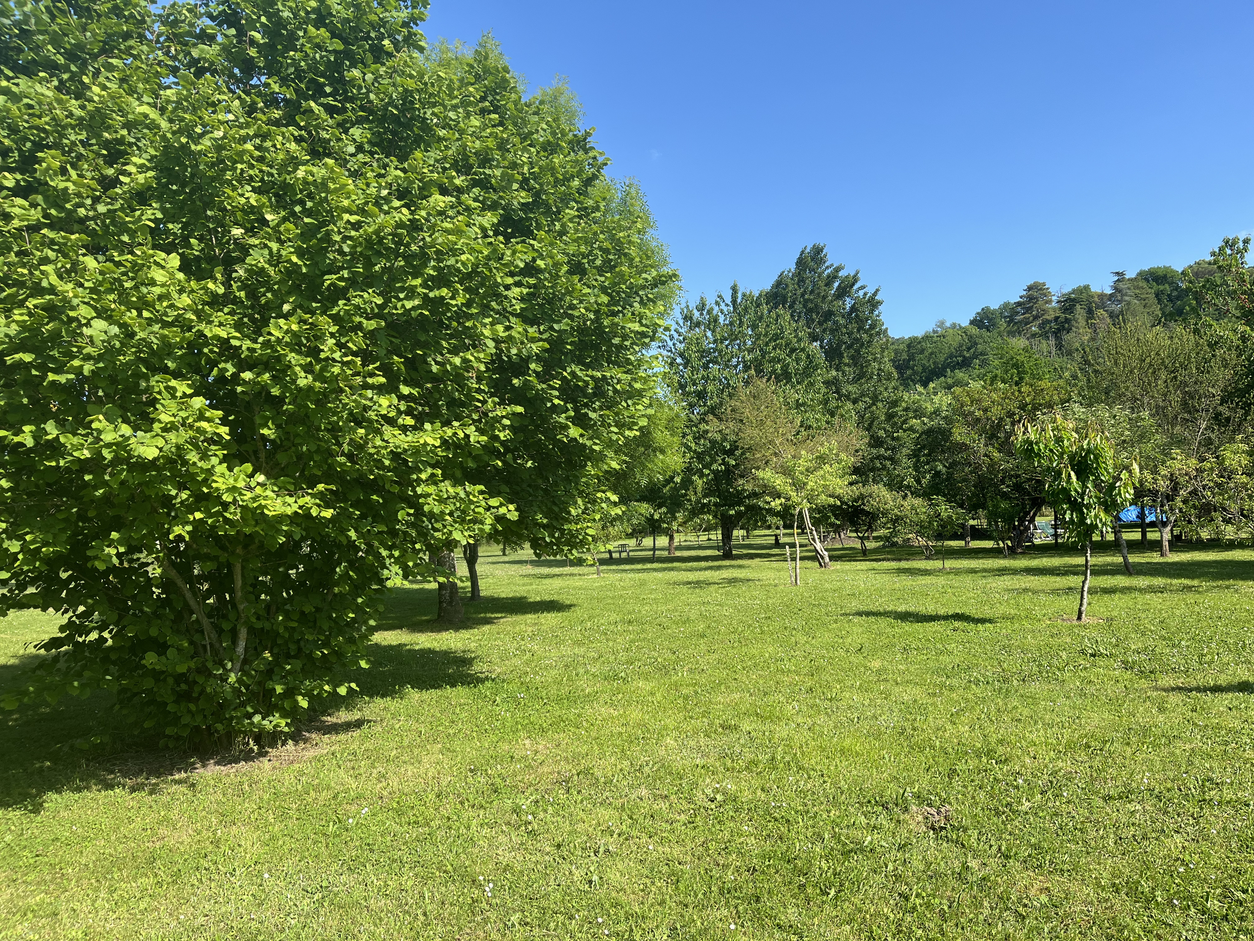 Parc Alcide Dihars, Pujols - photo 4