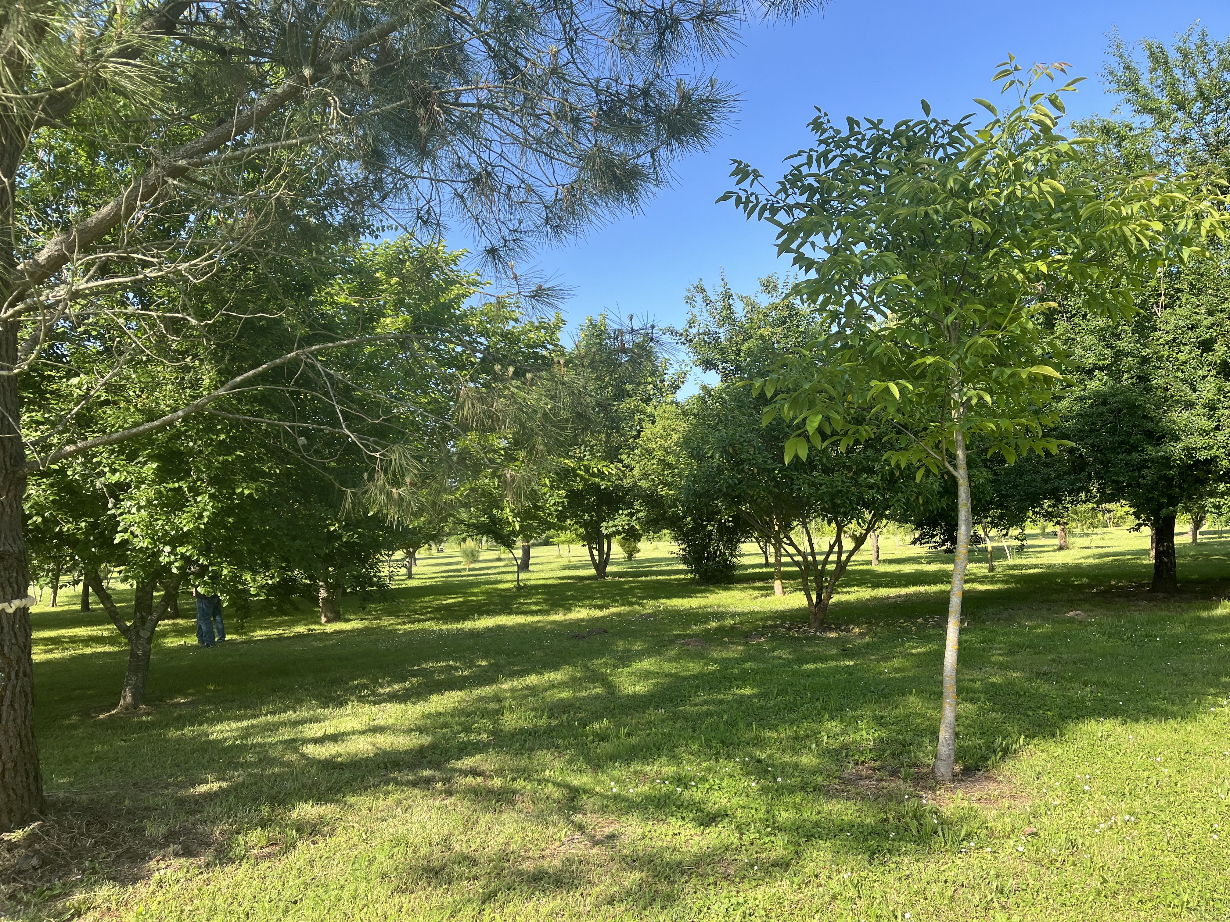 Parc Alcide Dihars, Pujols - photo 5