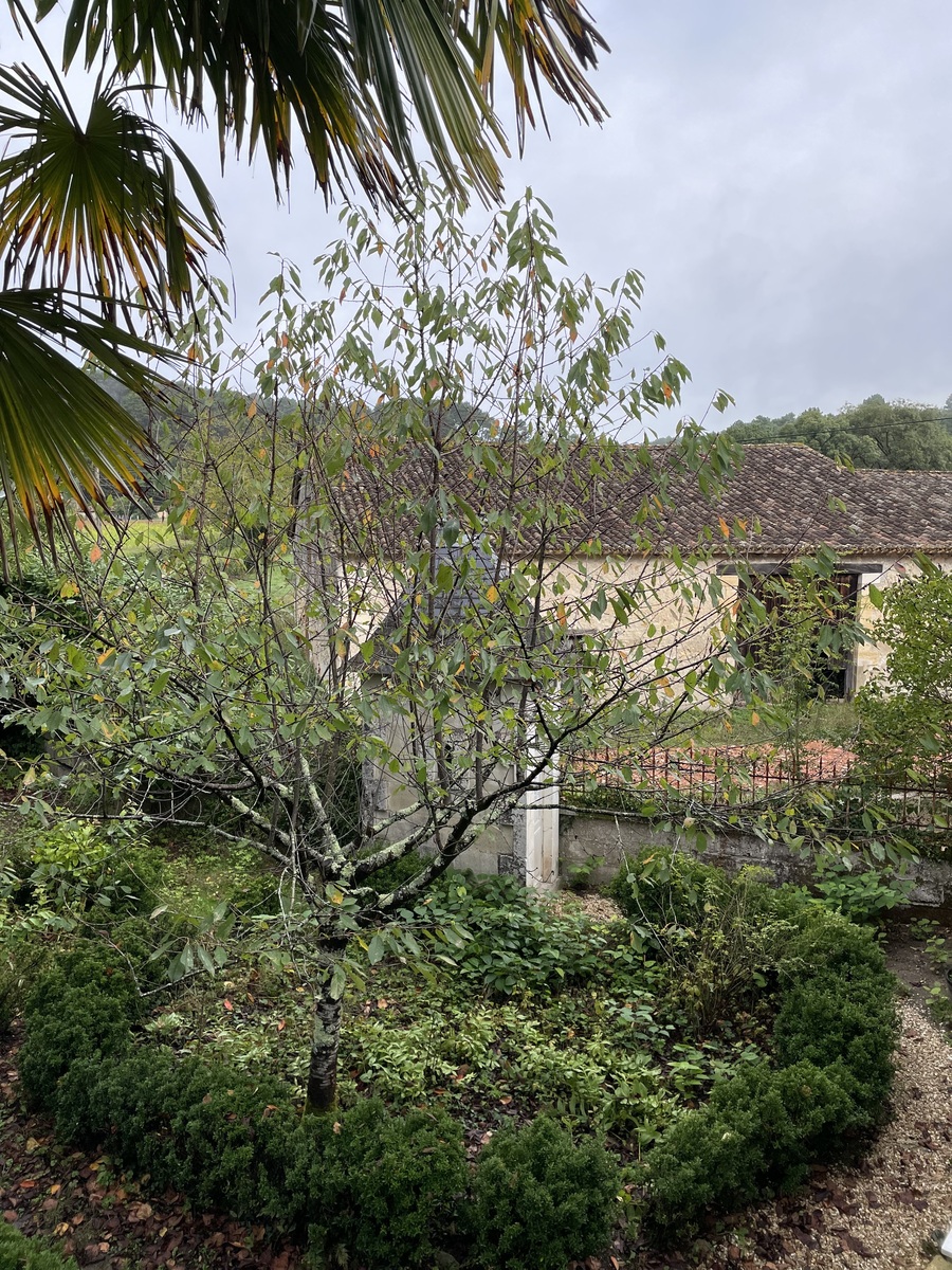 Domaine du Baron, Saint-Martin-l'Astier - photo 7