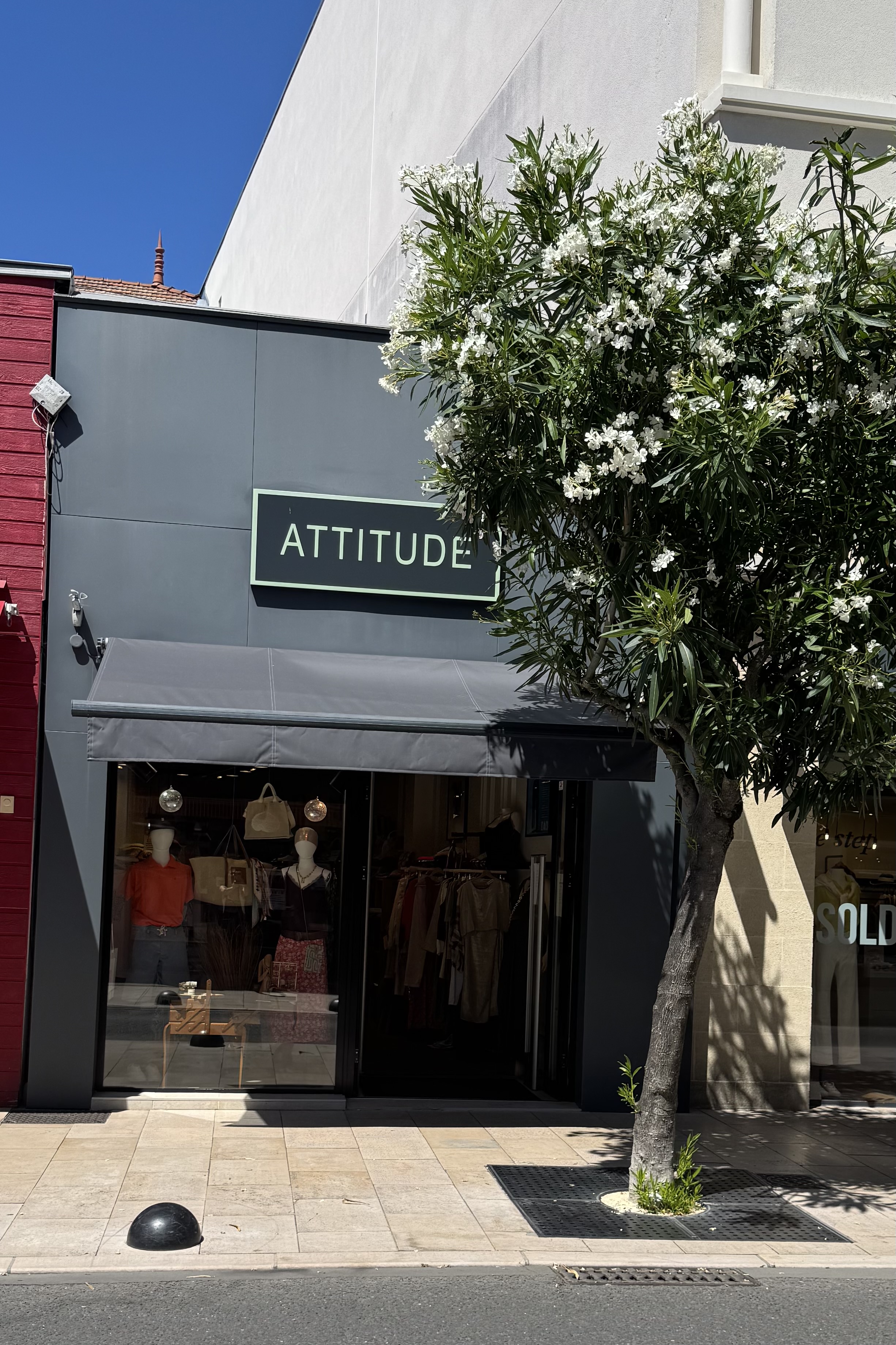 Attitude