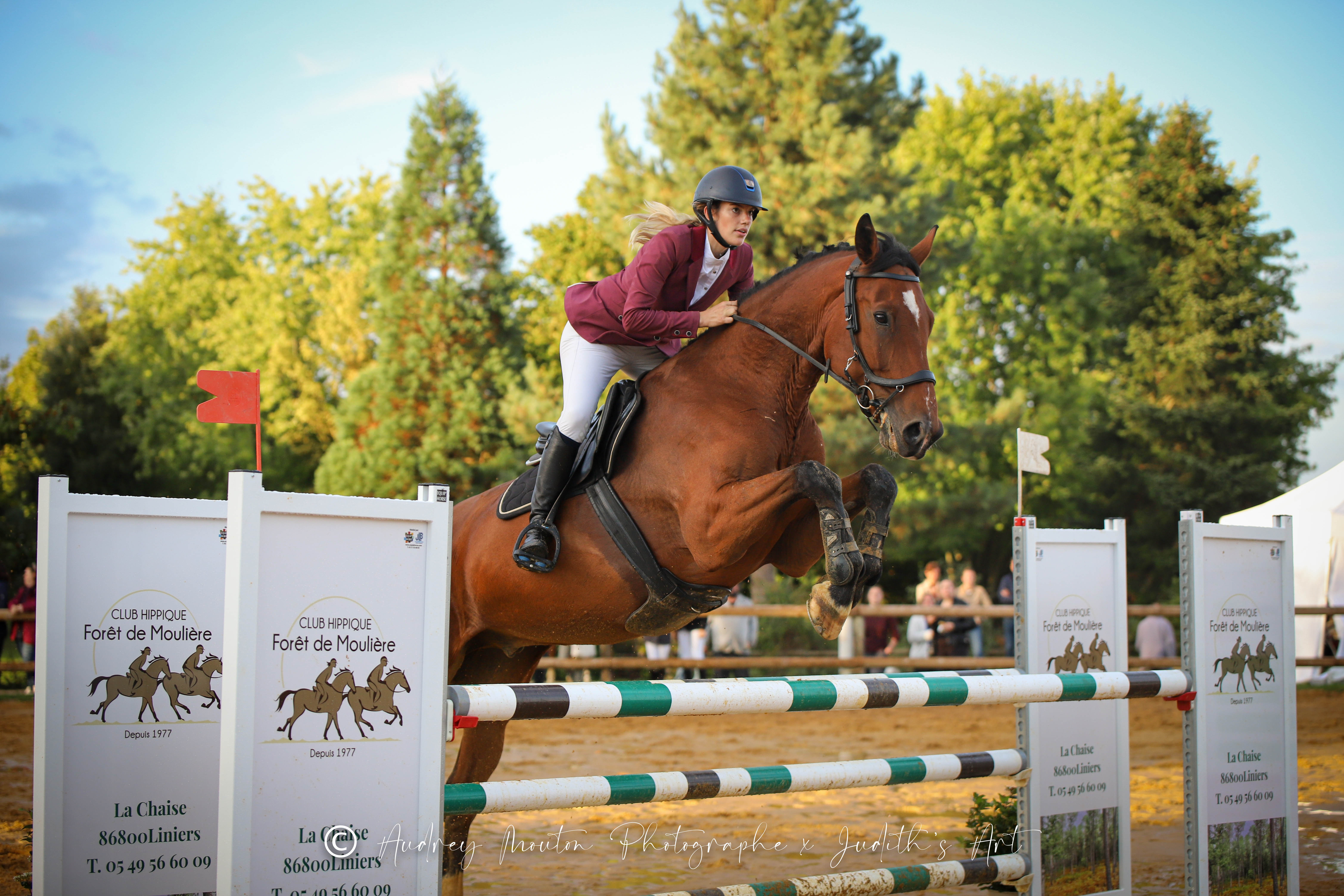 Club Hippique et Poney-Club de la Forêt de Moulière
