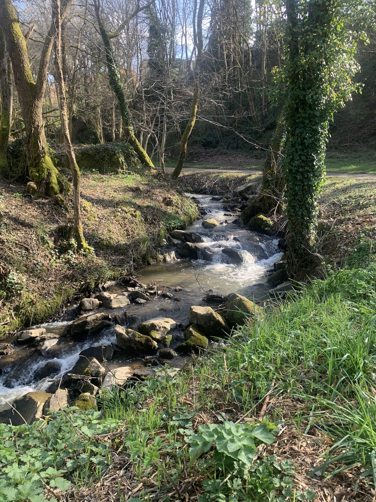 Boucle des hameaux, Condat-sur-Vienne - photo 2