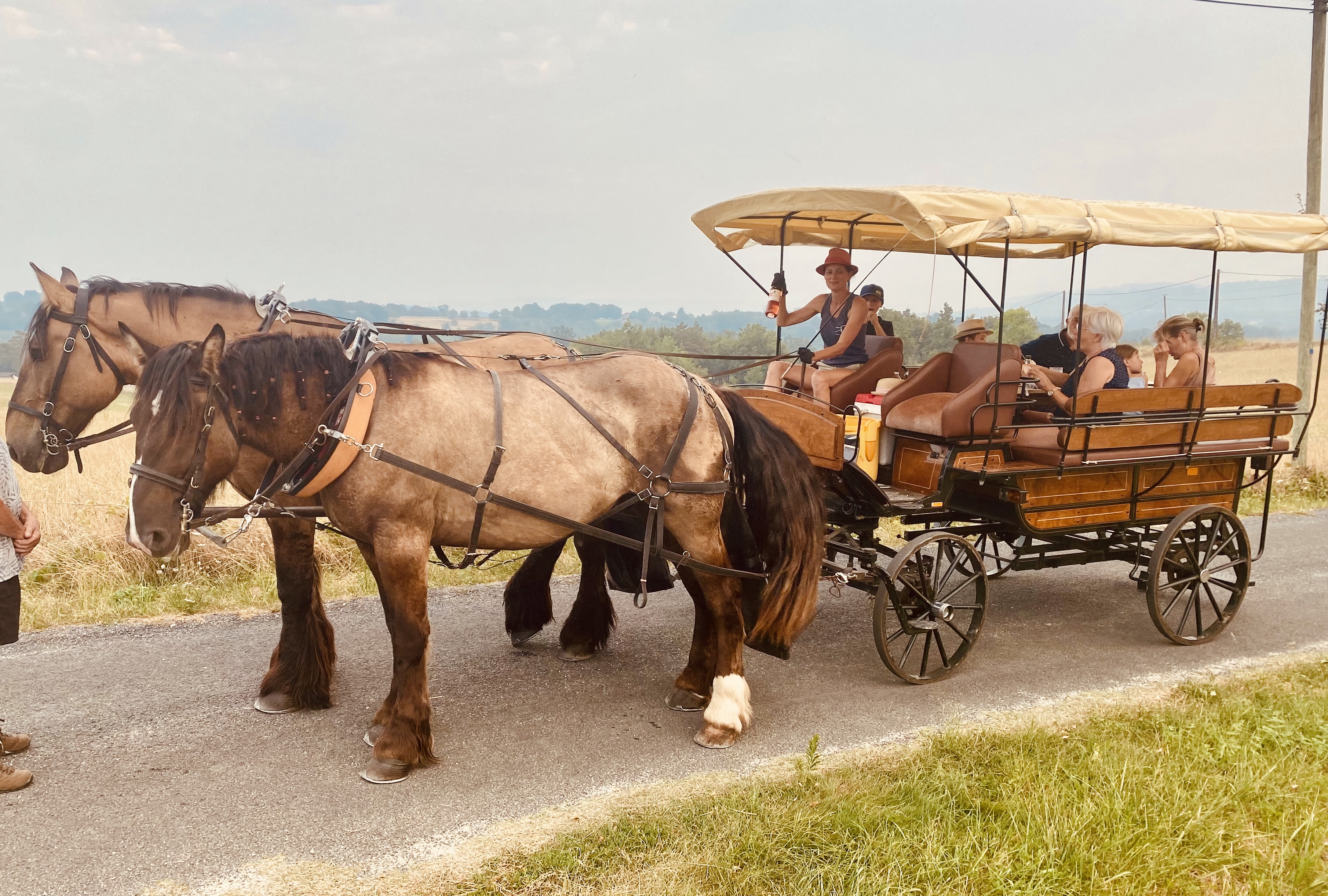 Histoires d' Ânes - photo 5