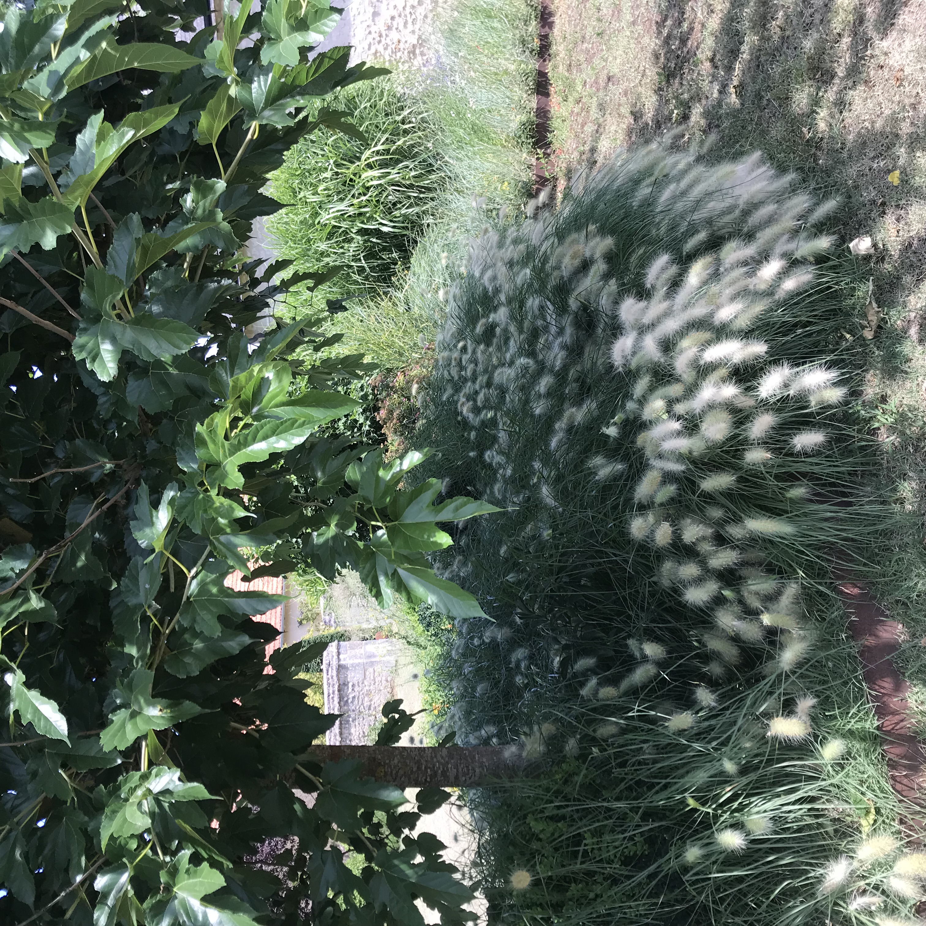 Gite 1694, Scorbé-Clairvaux - photo 5