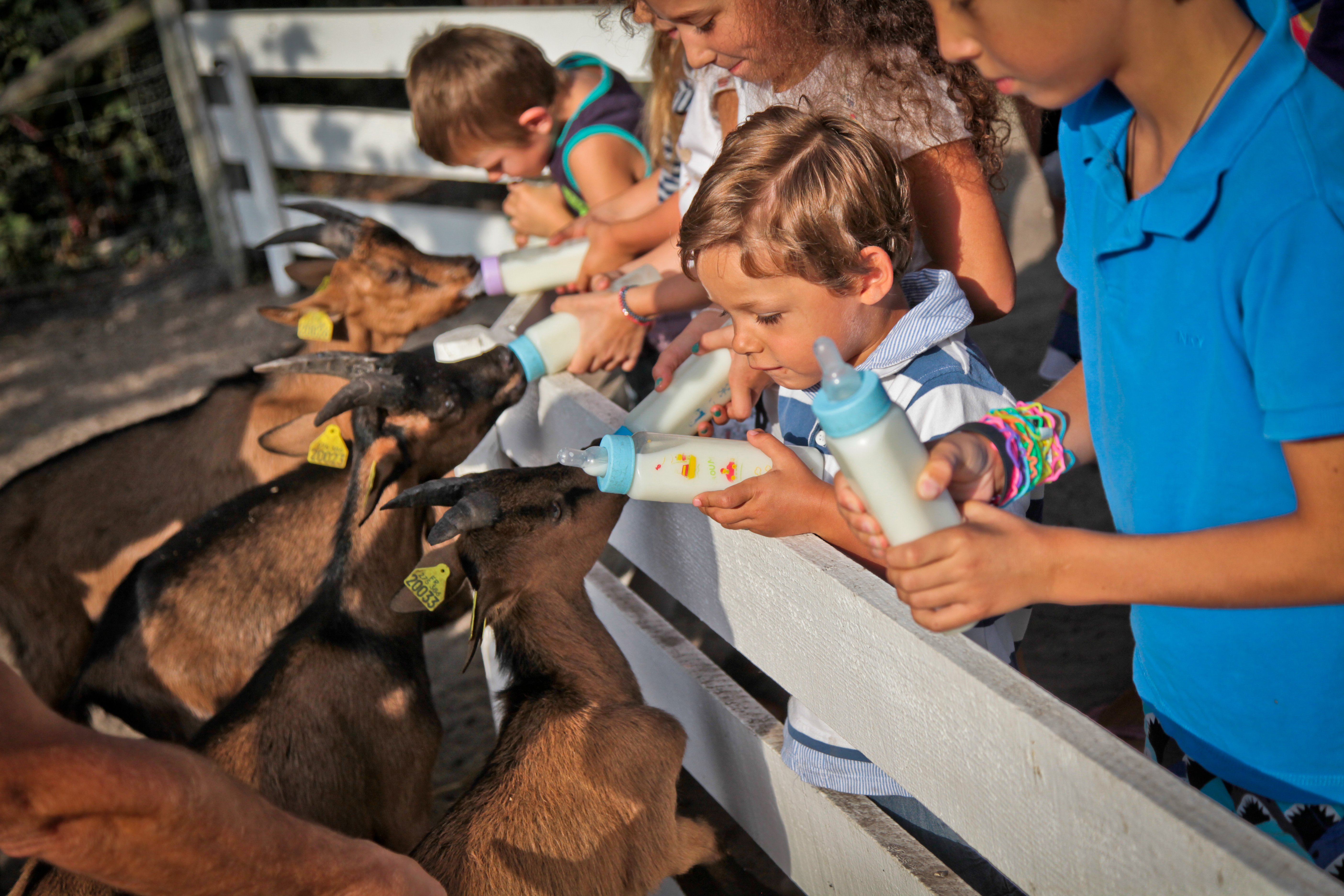 Parc de la Coccinelle, Gujan-Mestras - photo 9
