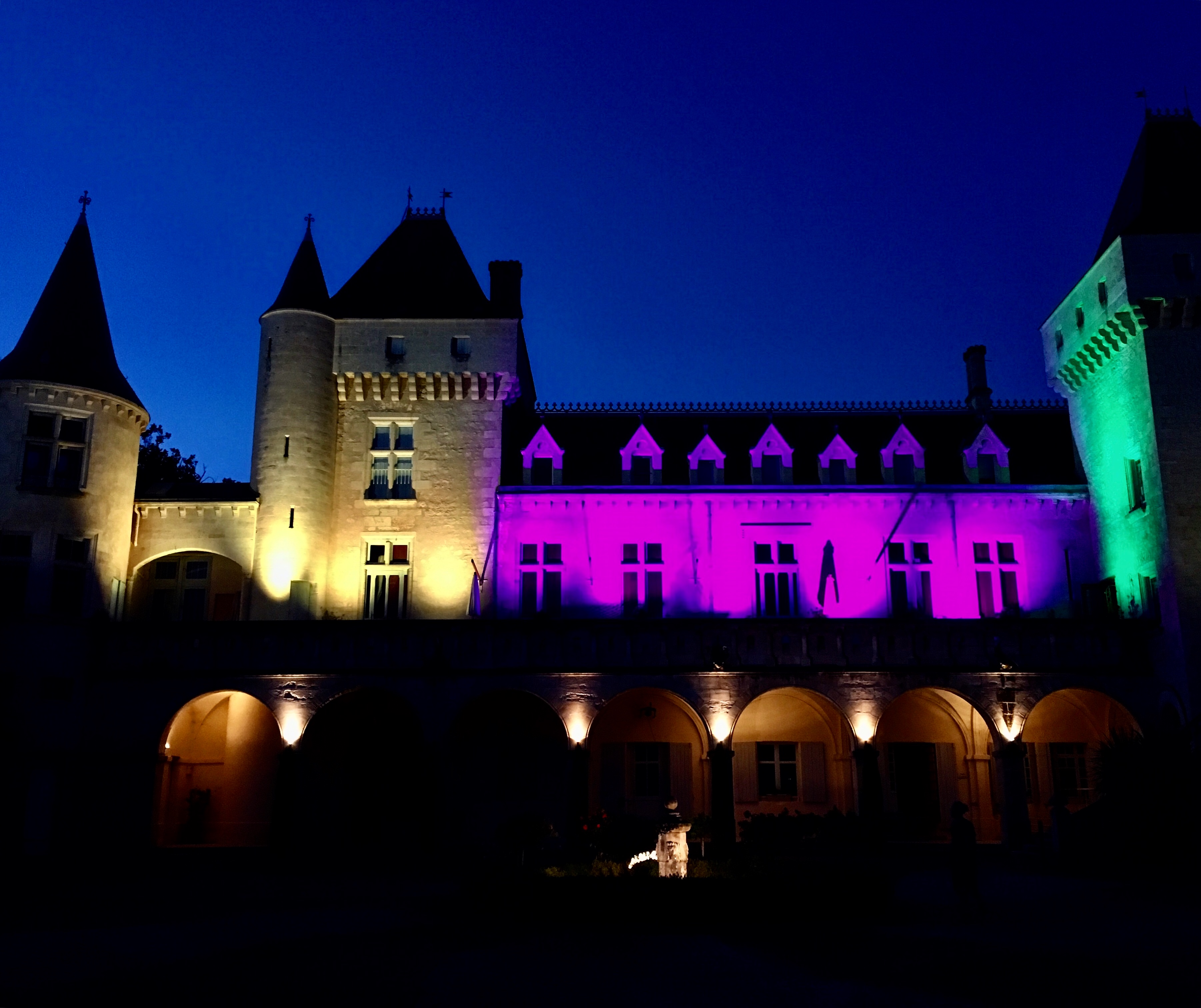 Festival Confluent d'Arts au Château de La Rivière, La Rivière - photo 6