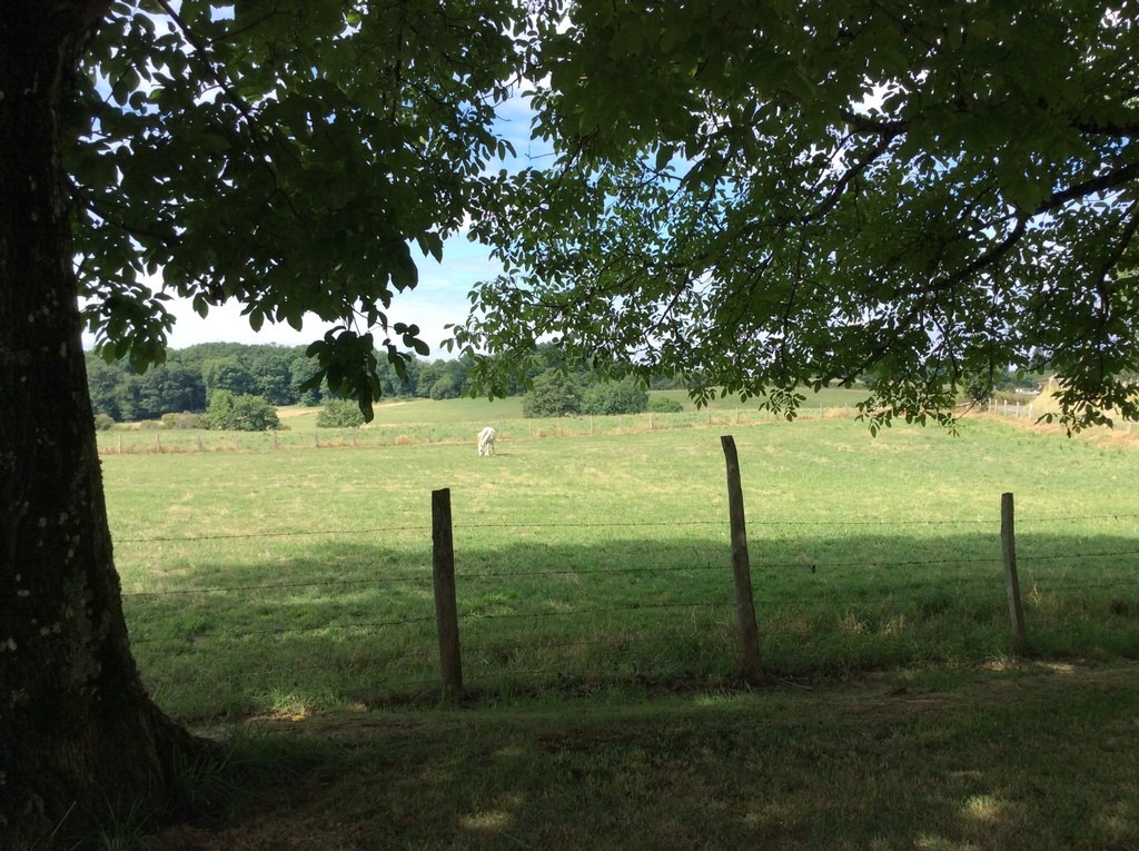 Meublé de Tourisme BOURNAZEL, Eyburie - photo 6