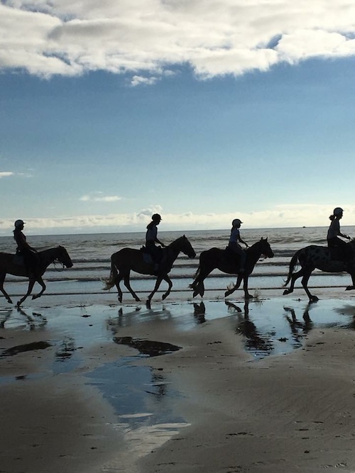 Atlantic Club Equestre - Ferme pédagogique, Vendays-Montalivet