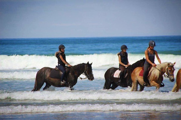 Atlantic Club Equestre - Ferme pédagogique, Vendays-Montalivet - photo 9