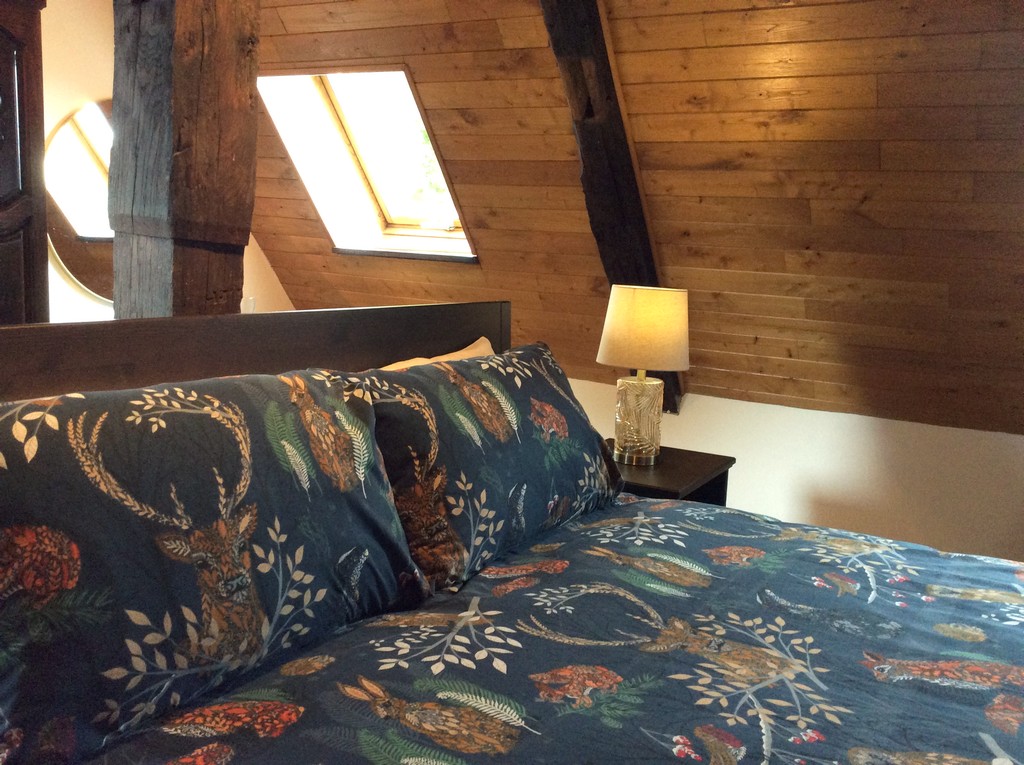 Le Chant des Oiseaux, Saint-Éloy-les-Tuileries - photo 10