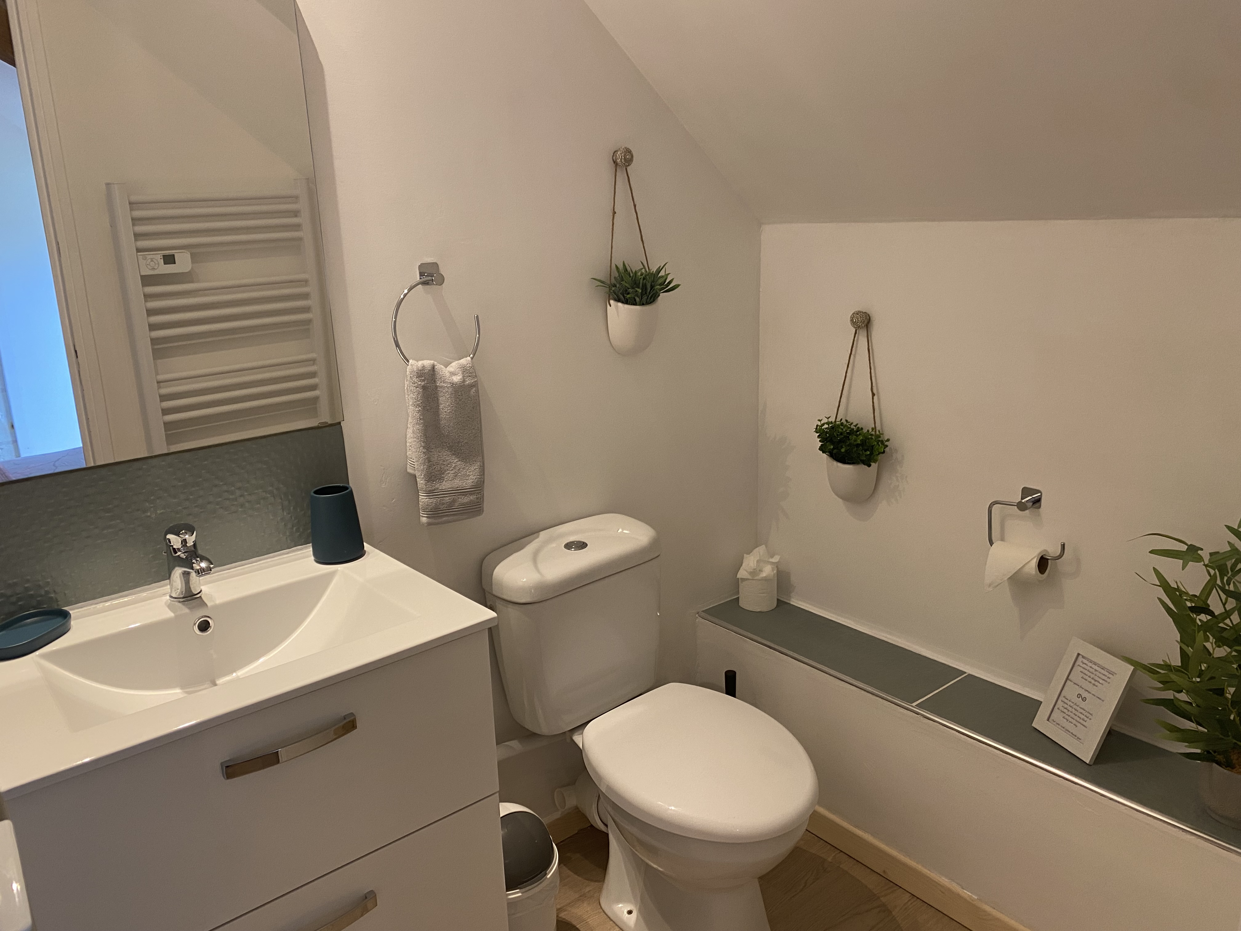 Les Vieux Chênes - Gîte Amboise, Oyré - photo 3