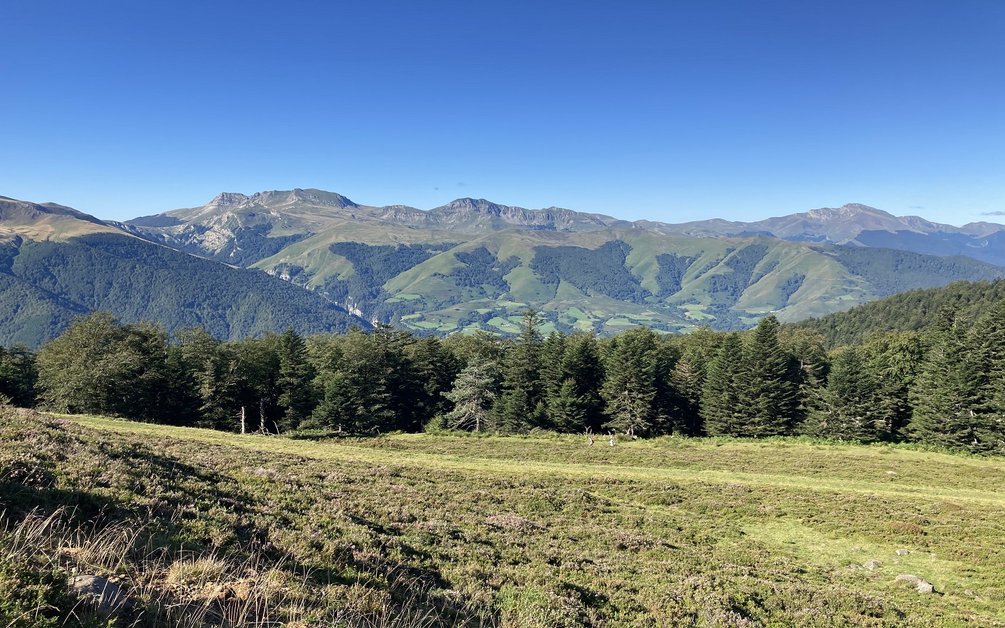 N°11 Barétous - Crêtes d'Issarbe, Lanne-en-Barétous - photo 7