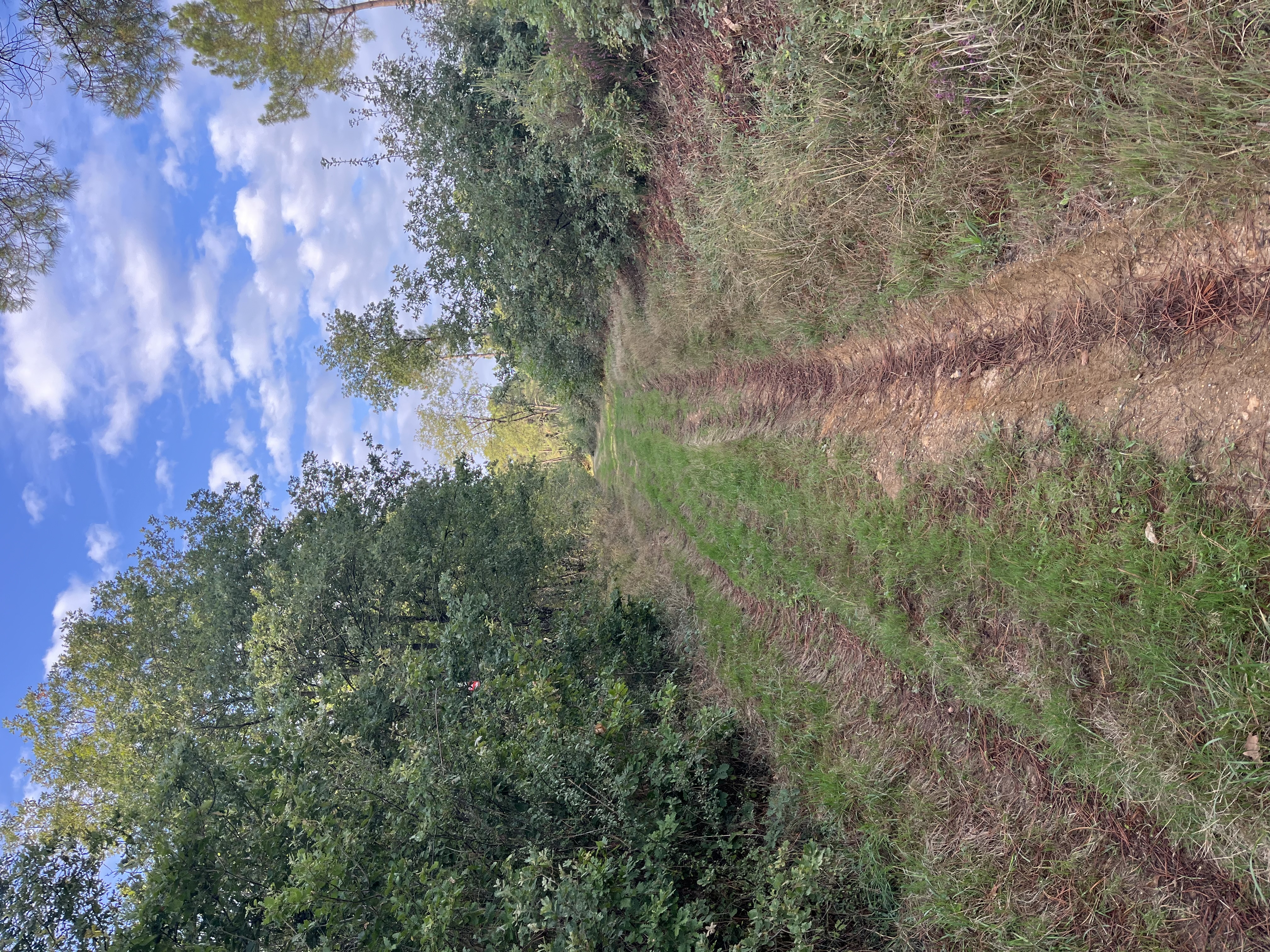 Boucle VTT Saint-Sulpice, Oyré