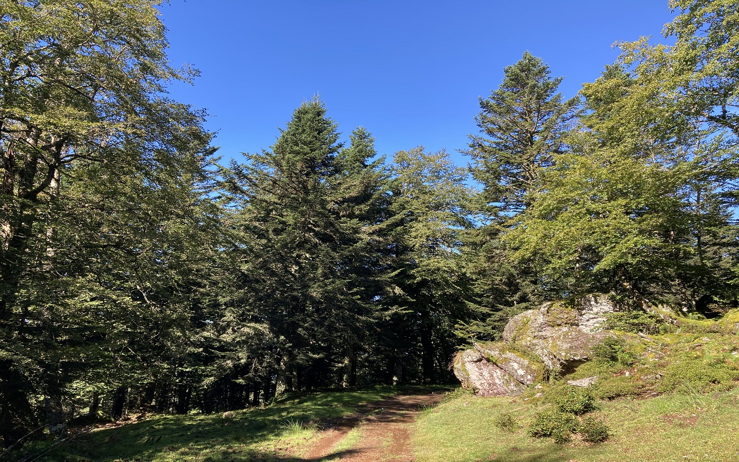 N°11 Barétous - Crêtes d'Issarbe, Lanne-en-Barétous - photo 15
