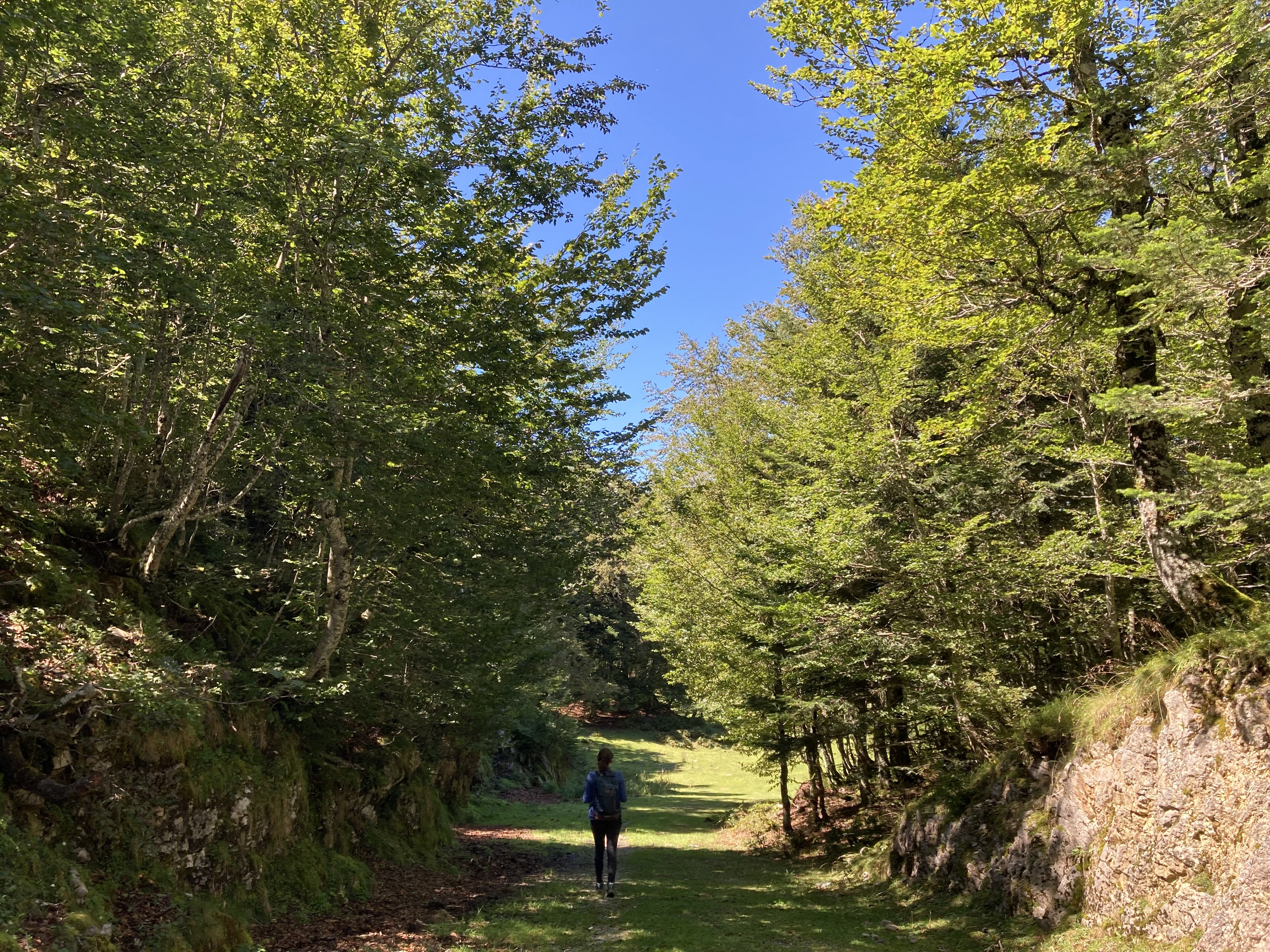 Espace nordique de La Pierre Saint-Martin en été