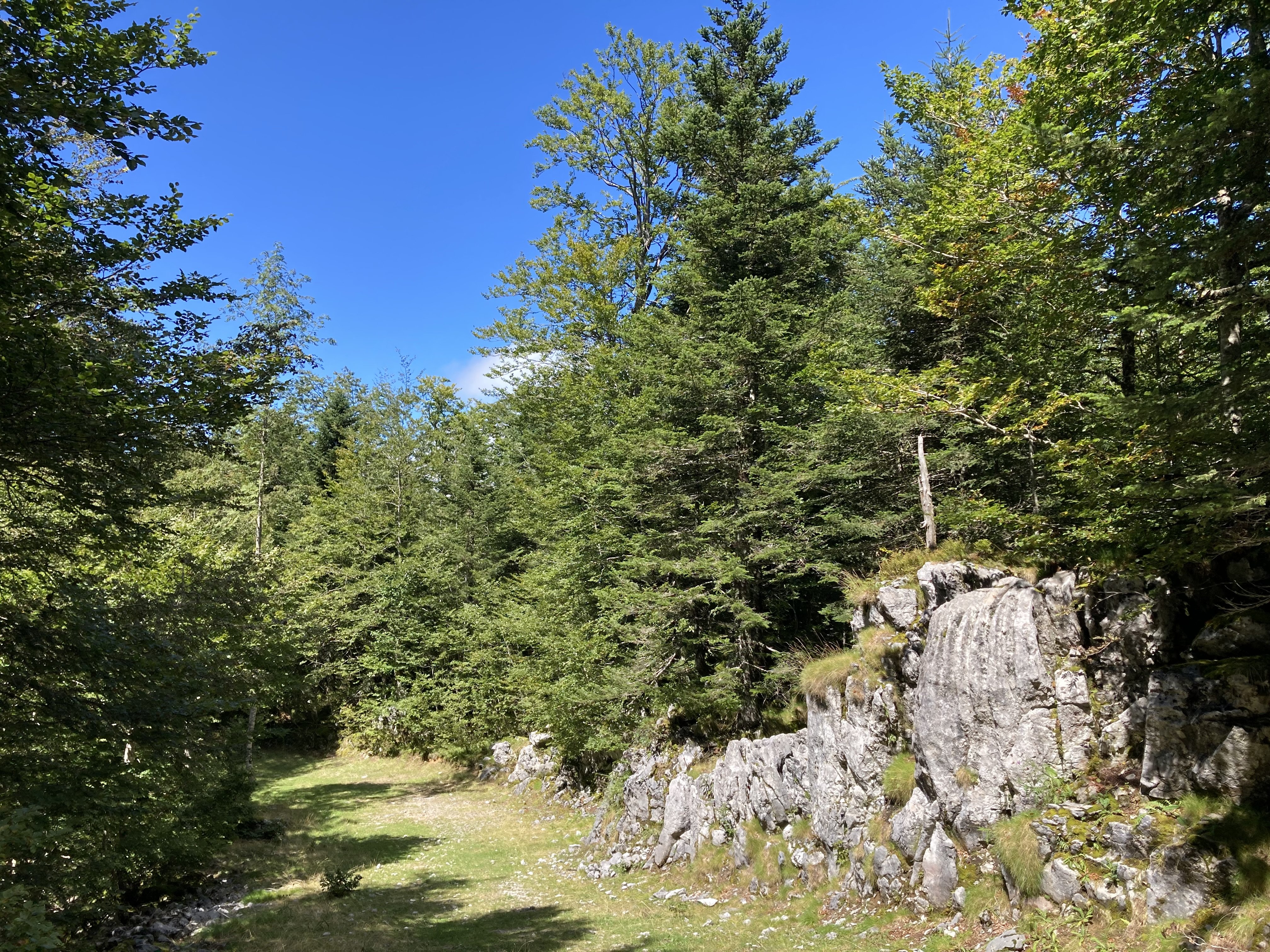 Tèrra Aventura "Fracas au Braca" — photo 3