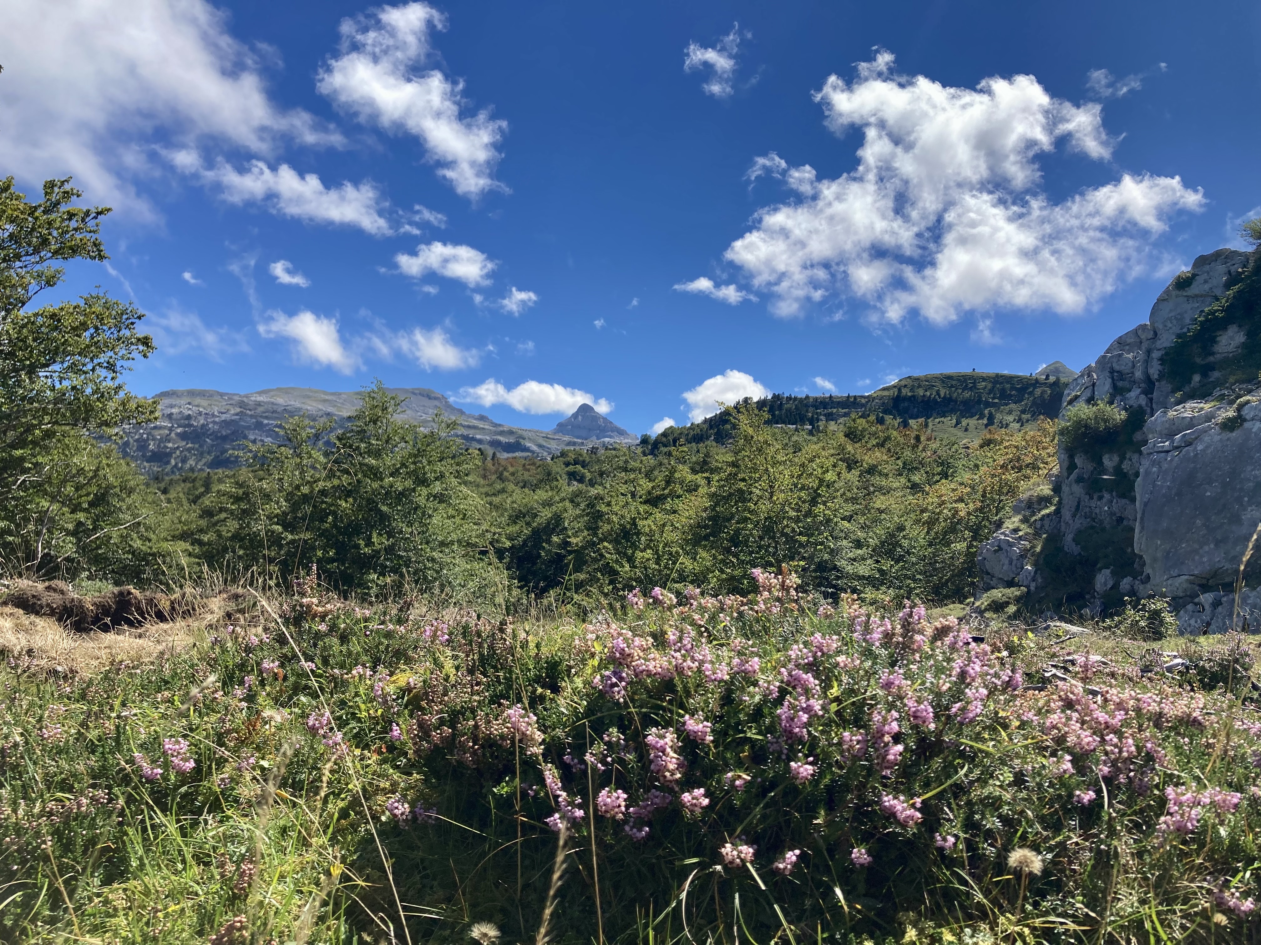 Espace nordique de La Pierre Saint-Martin en été — photo 3