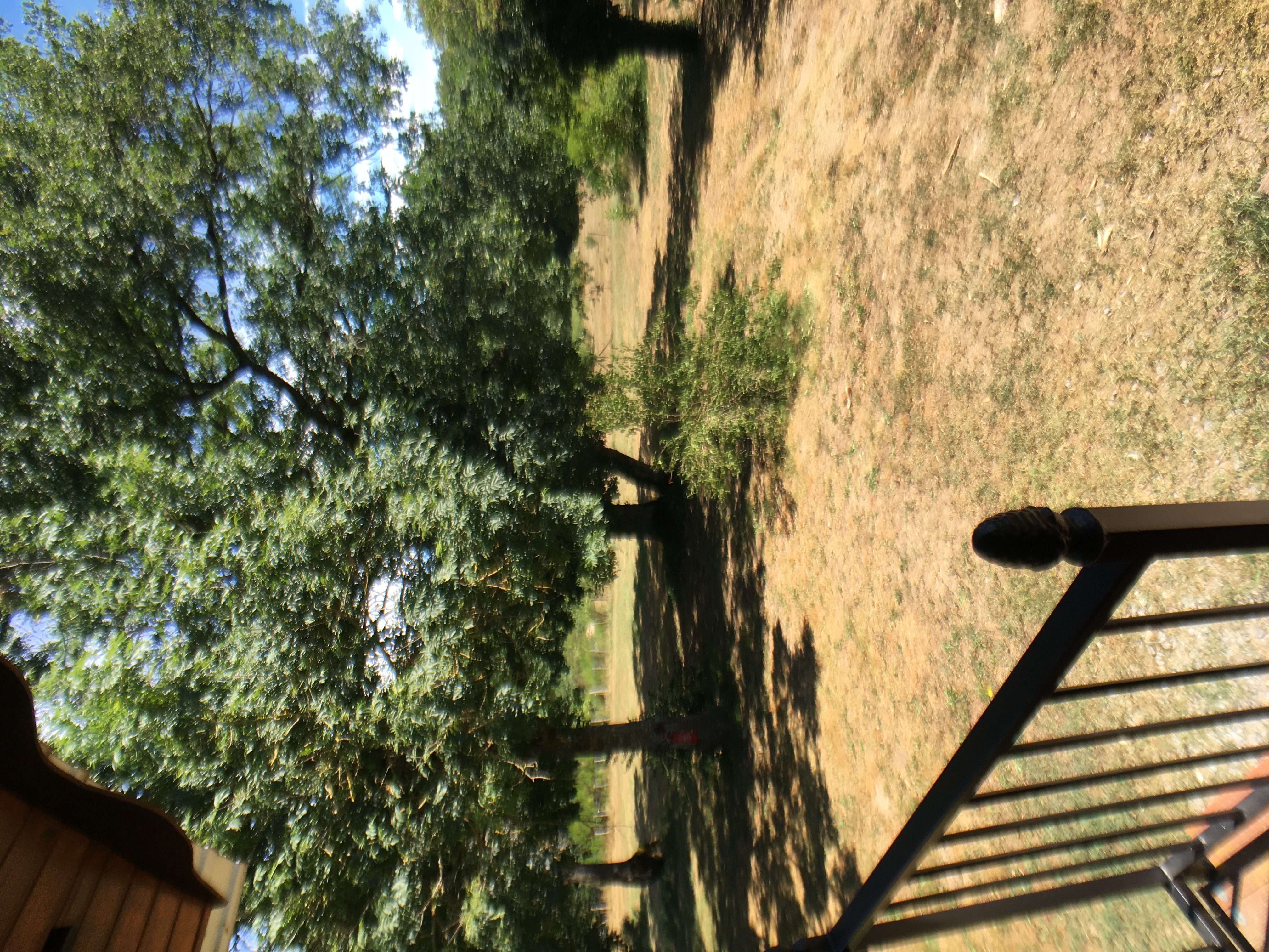LA NAPOLITAINE, Peyrat-la-Nonière - photo 3