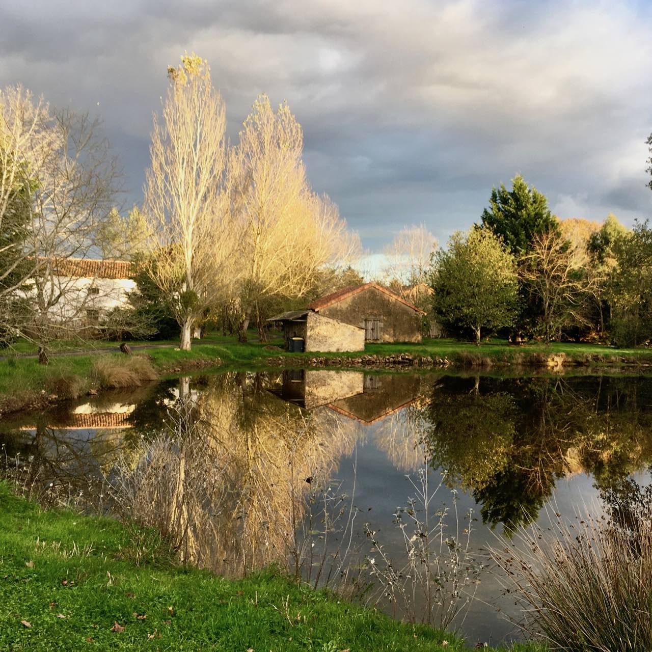 Gîte BoGuss du Parc Canin de la Rebertière