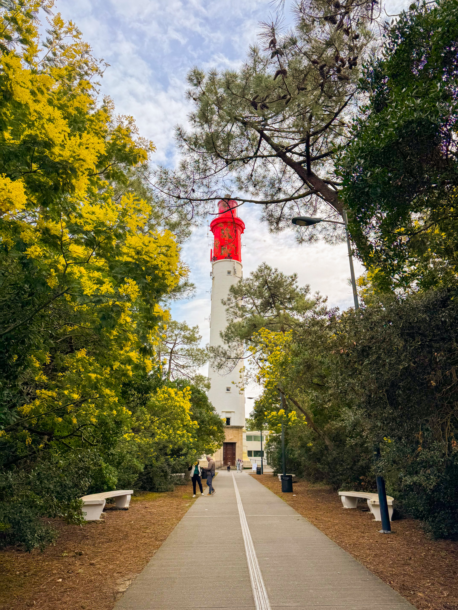 Balade à roulettes - Le Cap Ferret, de la jetée du Bélisaire vers le phare - photo 3