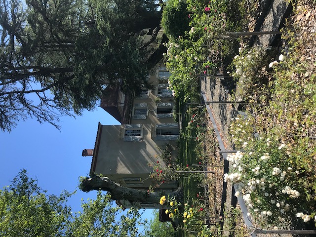 Roseraie du Pourtaou, Cauneille - photo 5