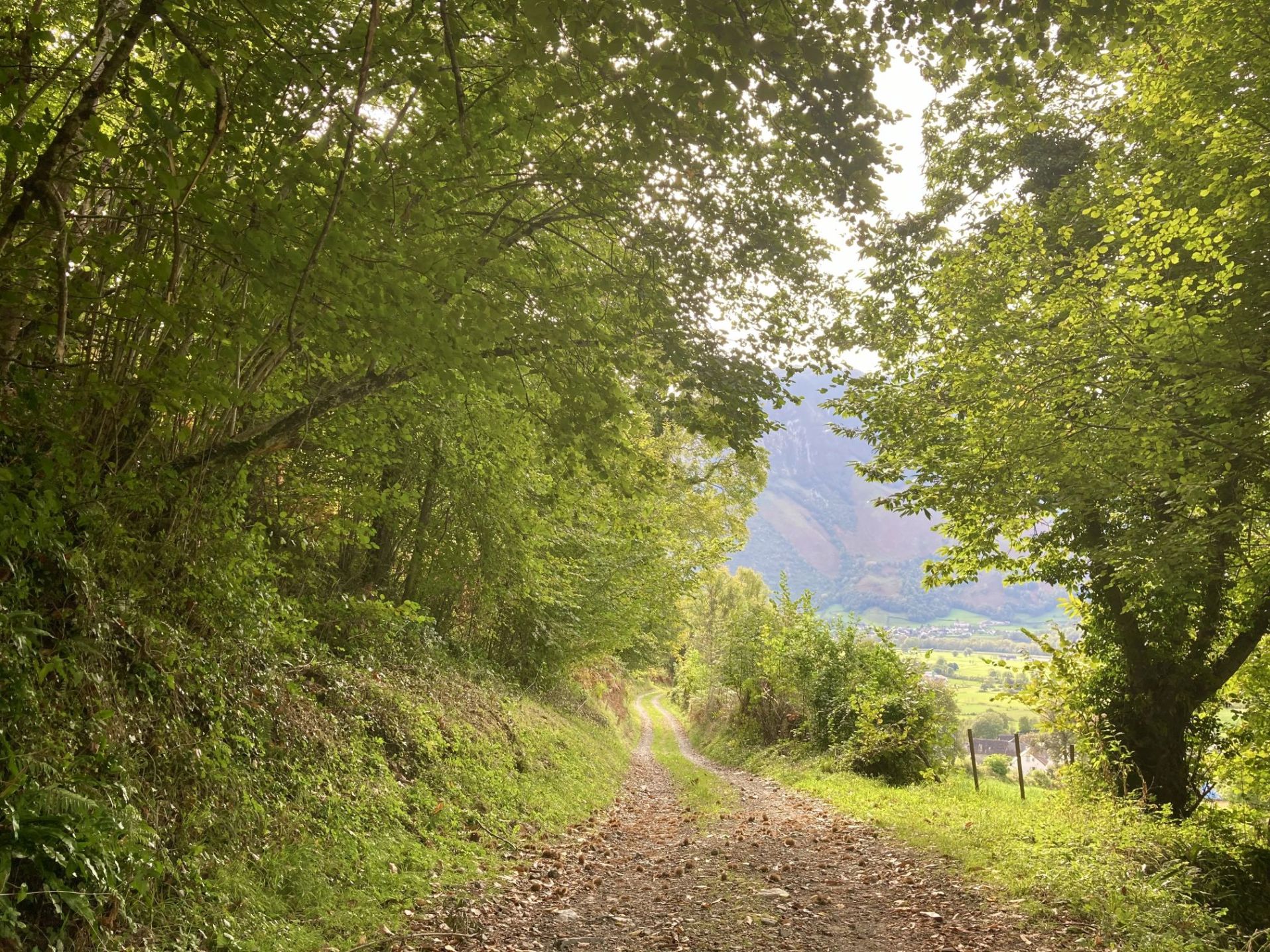 N°10 Aspe - Le Tour de Soudious, Bedous - photo 8