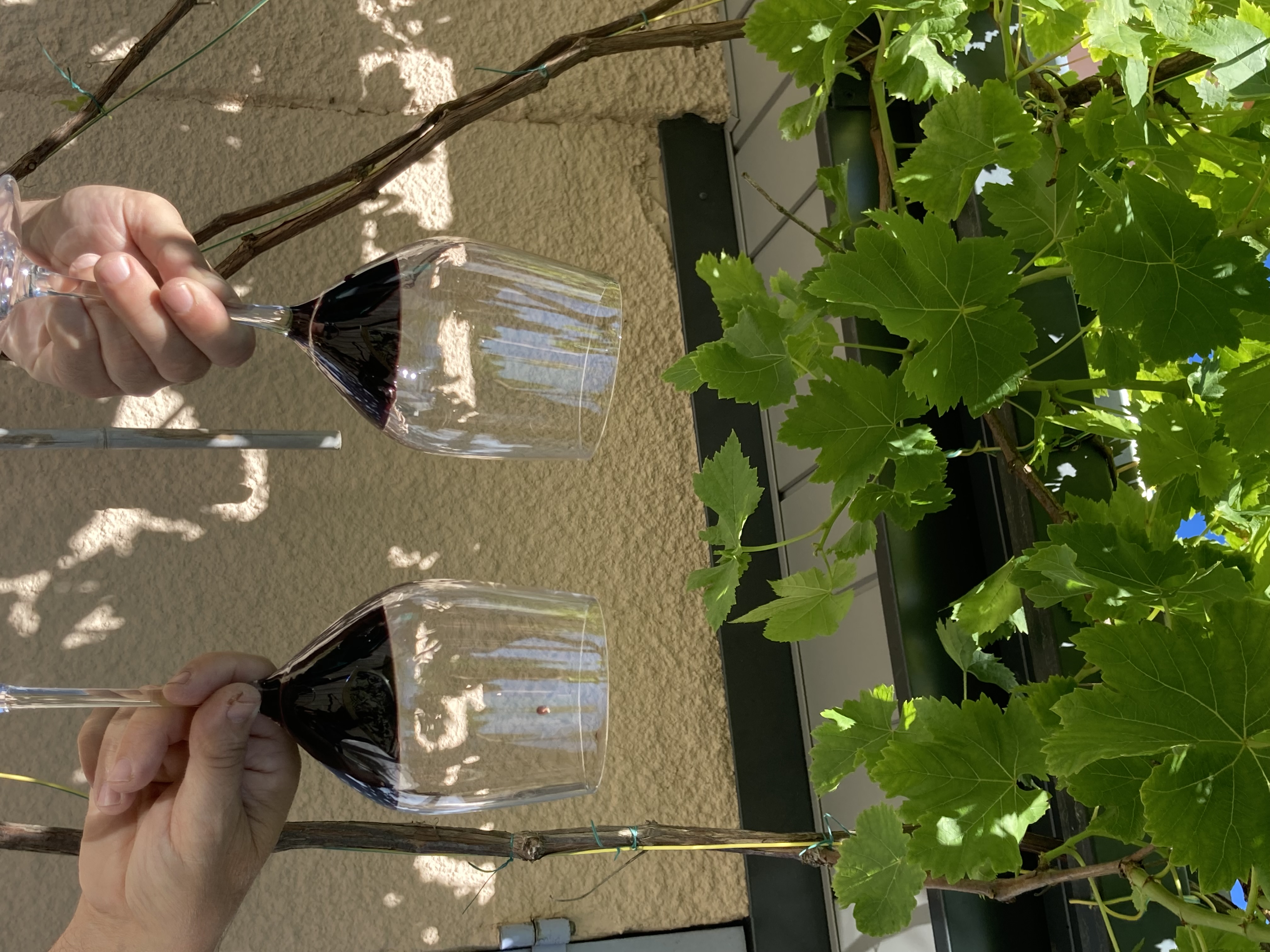 Wine Hôte, Le Pian-Médoc