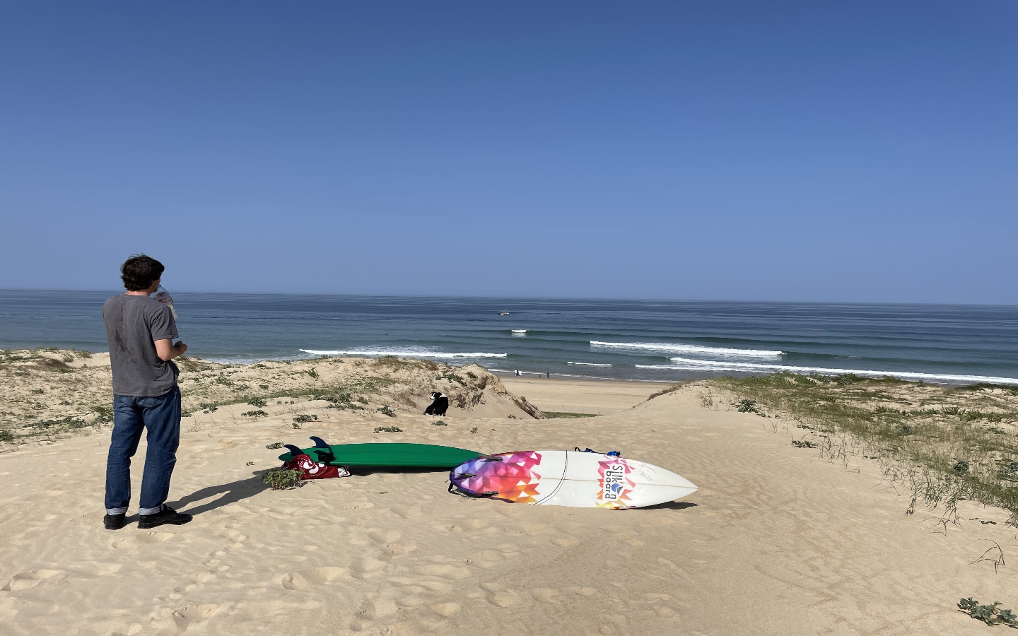 Ecole.surf