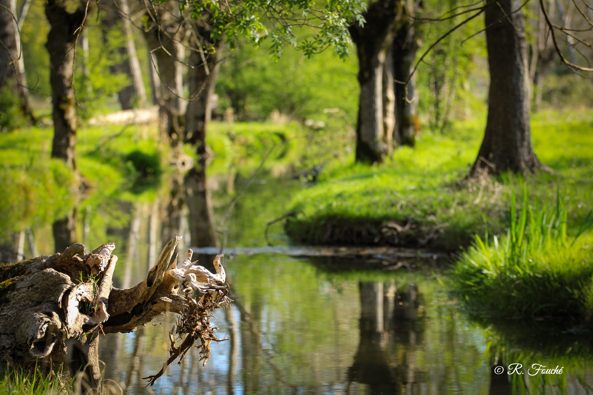 Au rythme de vos envies - photo 4