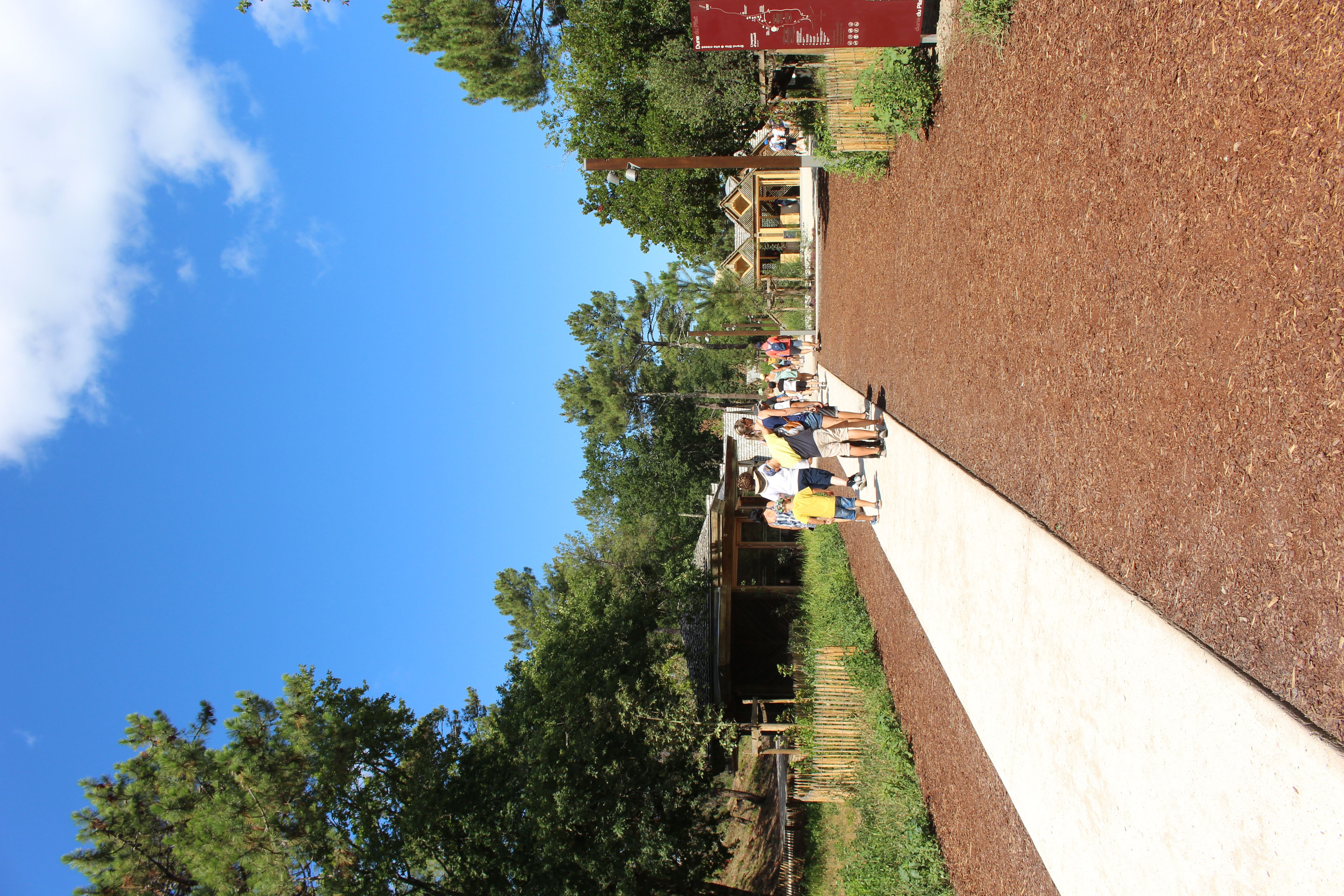 Les Pistes de Robin : les secrets de la Dune du Pilat, La Teste-de-Buch - photo 2