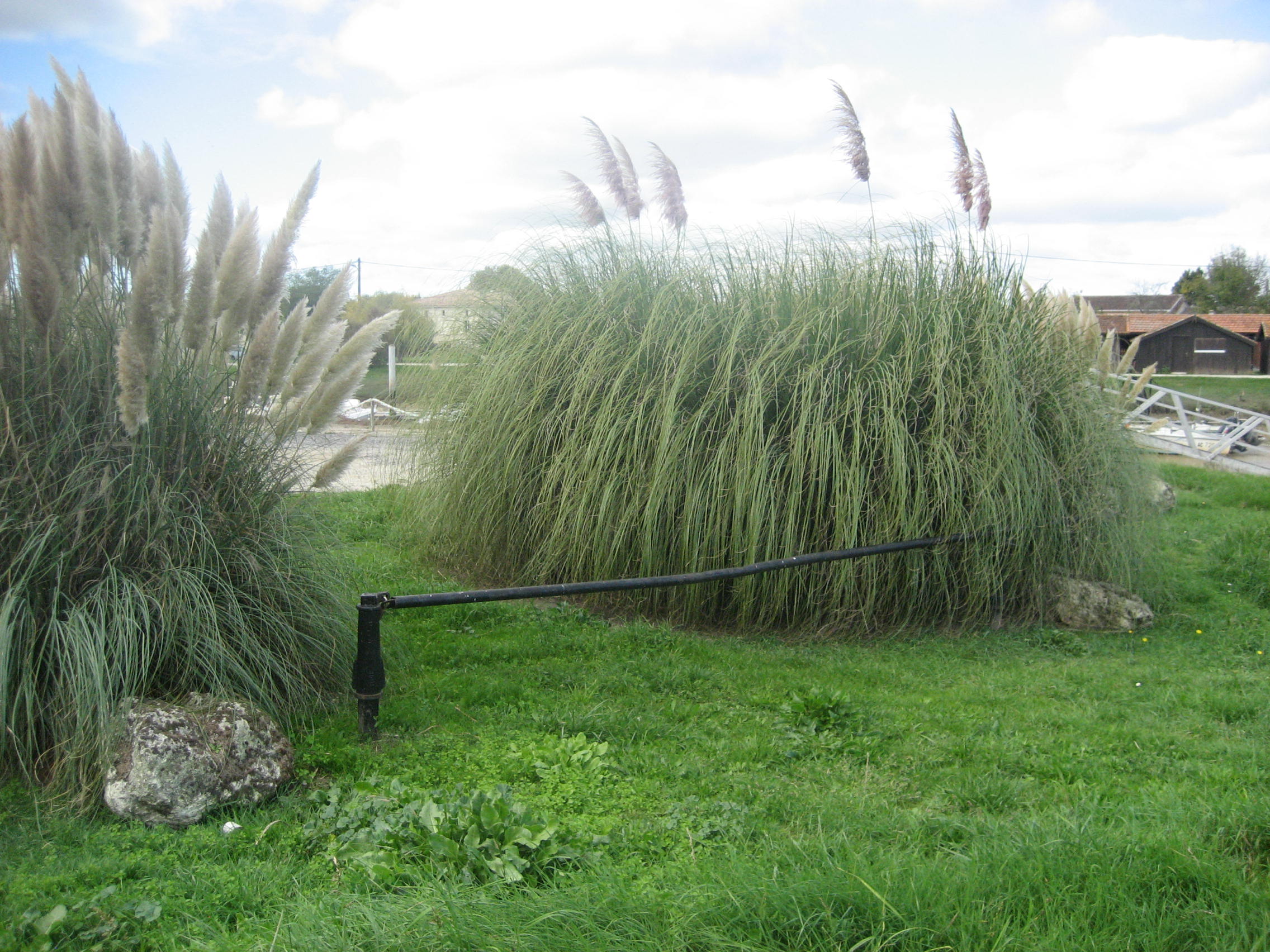 Balade à roulettes : Port de Goulée