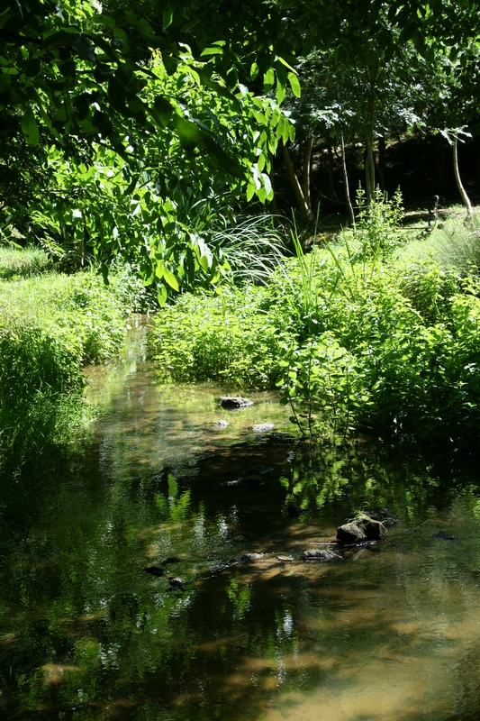 A Fleur d'eau, Cherveux - photo 9