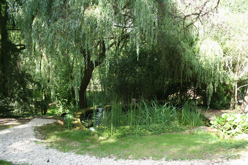 A Fleur d'eau, Cherveux - photo 6