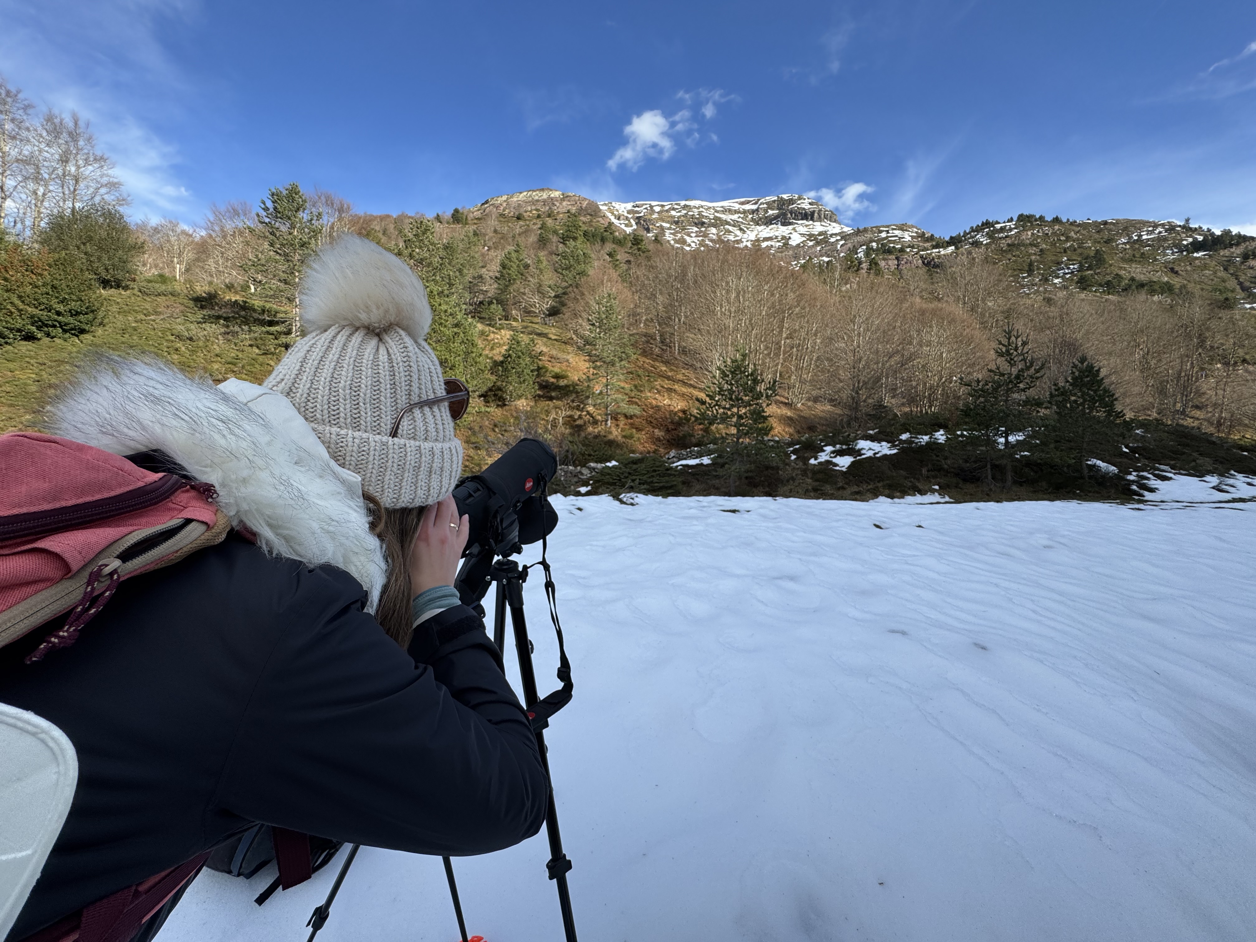 Randonnée hivernale sur les traces de la faune sauvage