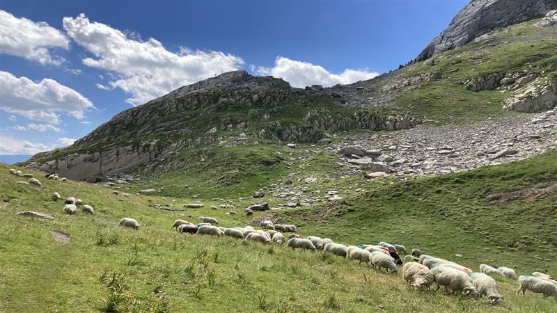 N°51 Cabane et Lac de Lhurs