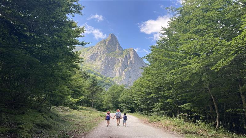 N°50 Plateau de Sanchèse