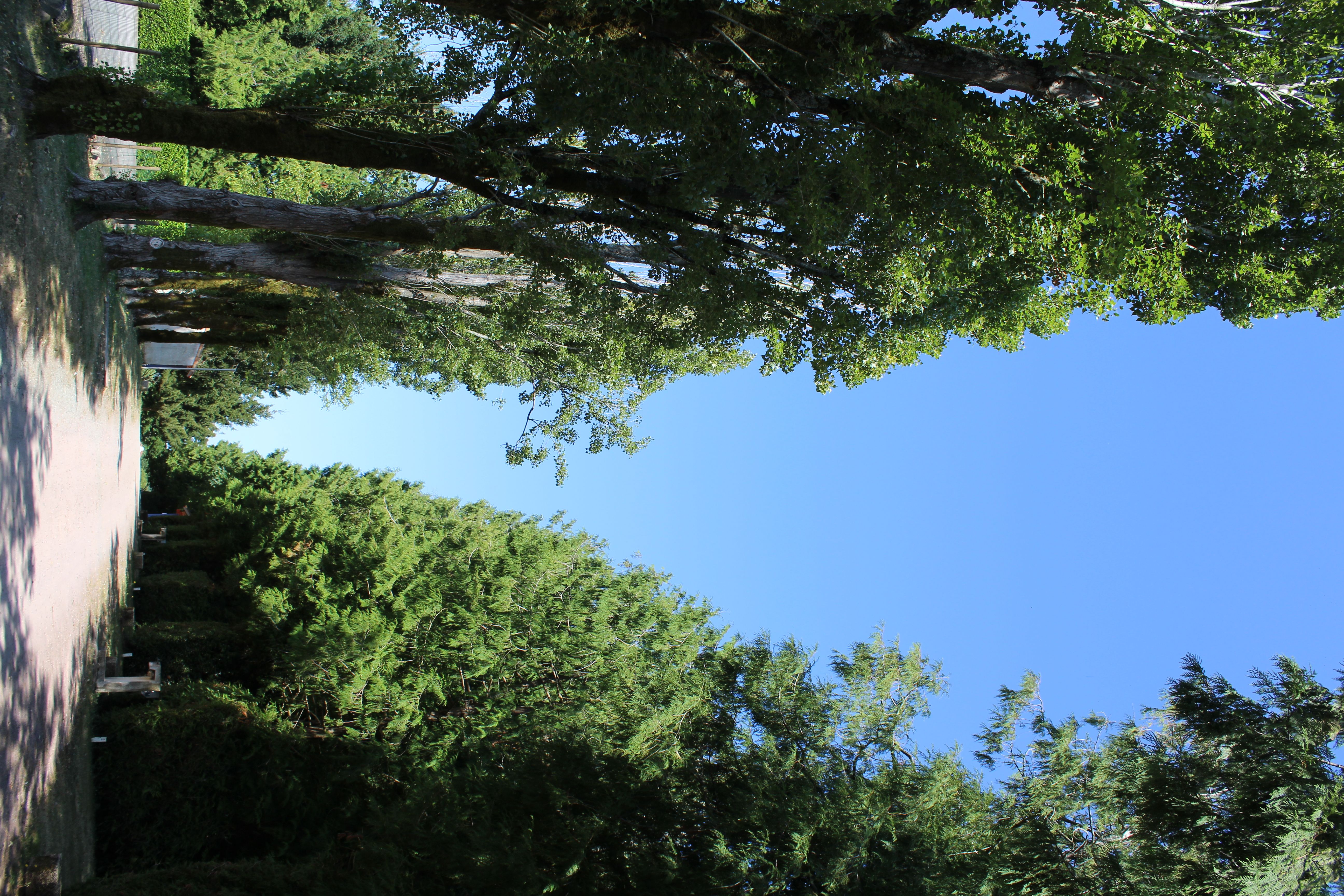 Aire de camping-cars de Coulonges-sur-l'Autize - Camping Car Park