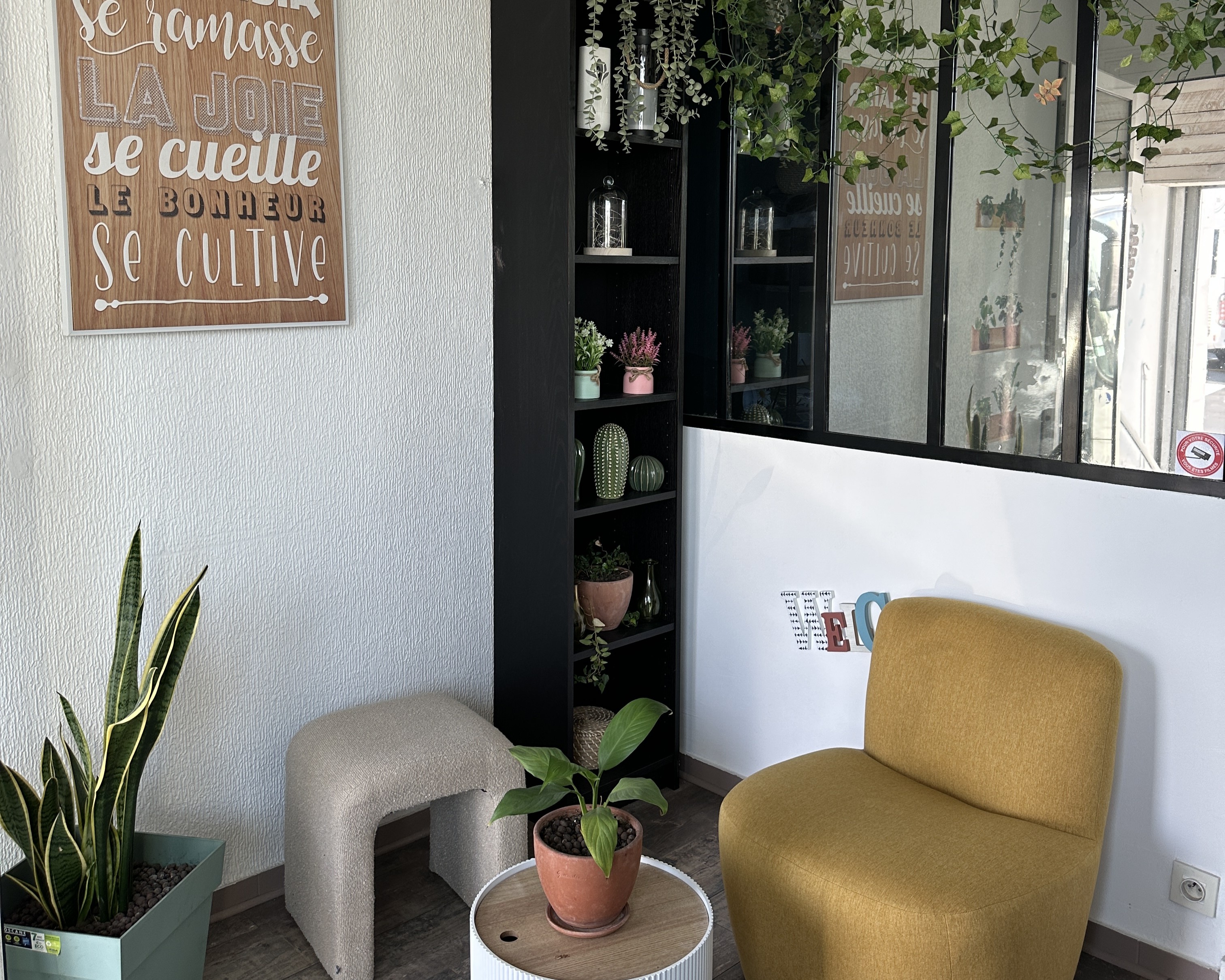 Bel's CBD Shop — photo 3