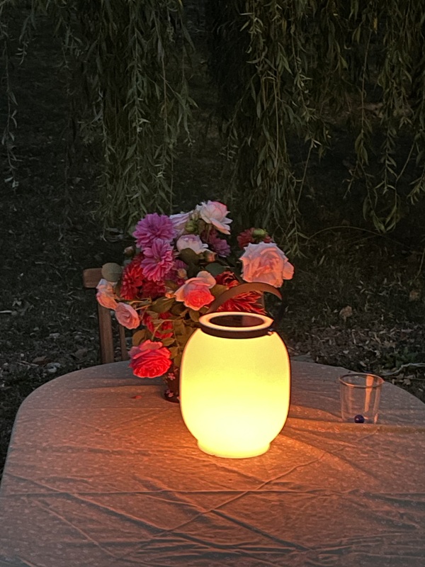 Les Fugues de Tosca, Pineuilh - photo 20