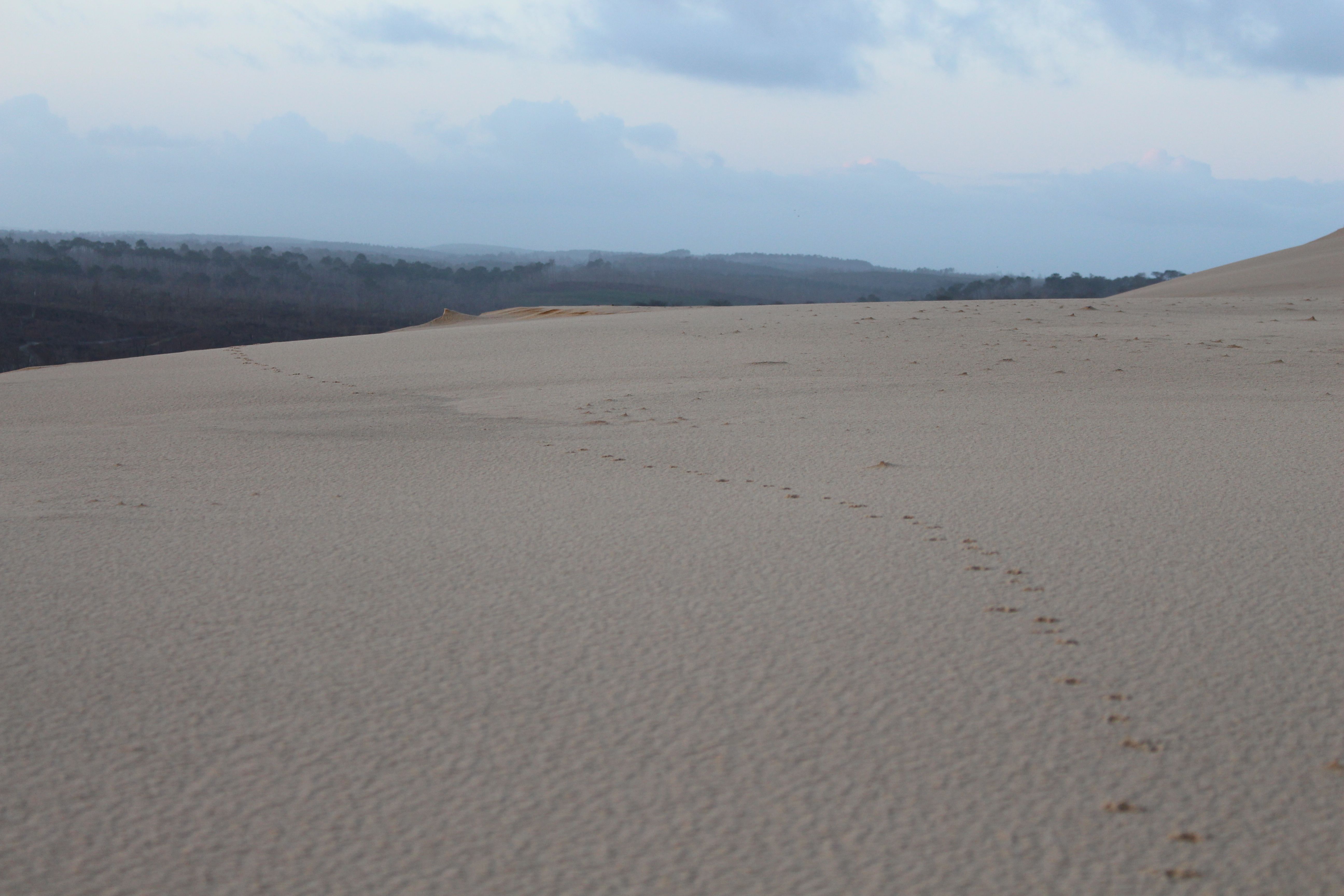 Randonnée sur la Dune du Pilat au lever du soleil